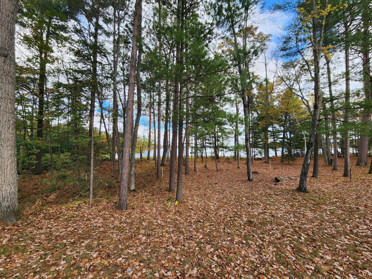 LOT 1 GOPHER LN, MINOCQUA, WI 54548 Redman Realty Group