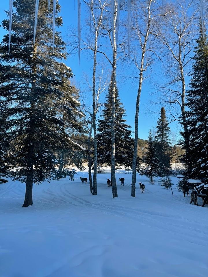 Picture 7 - Rest Lake Property 204551