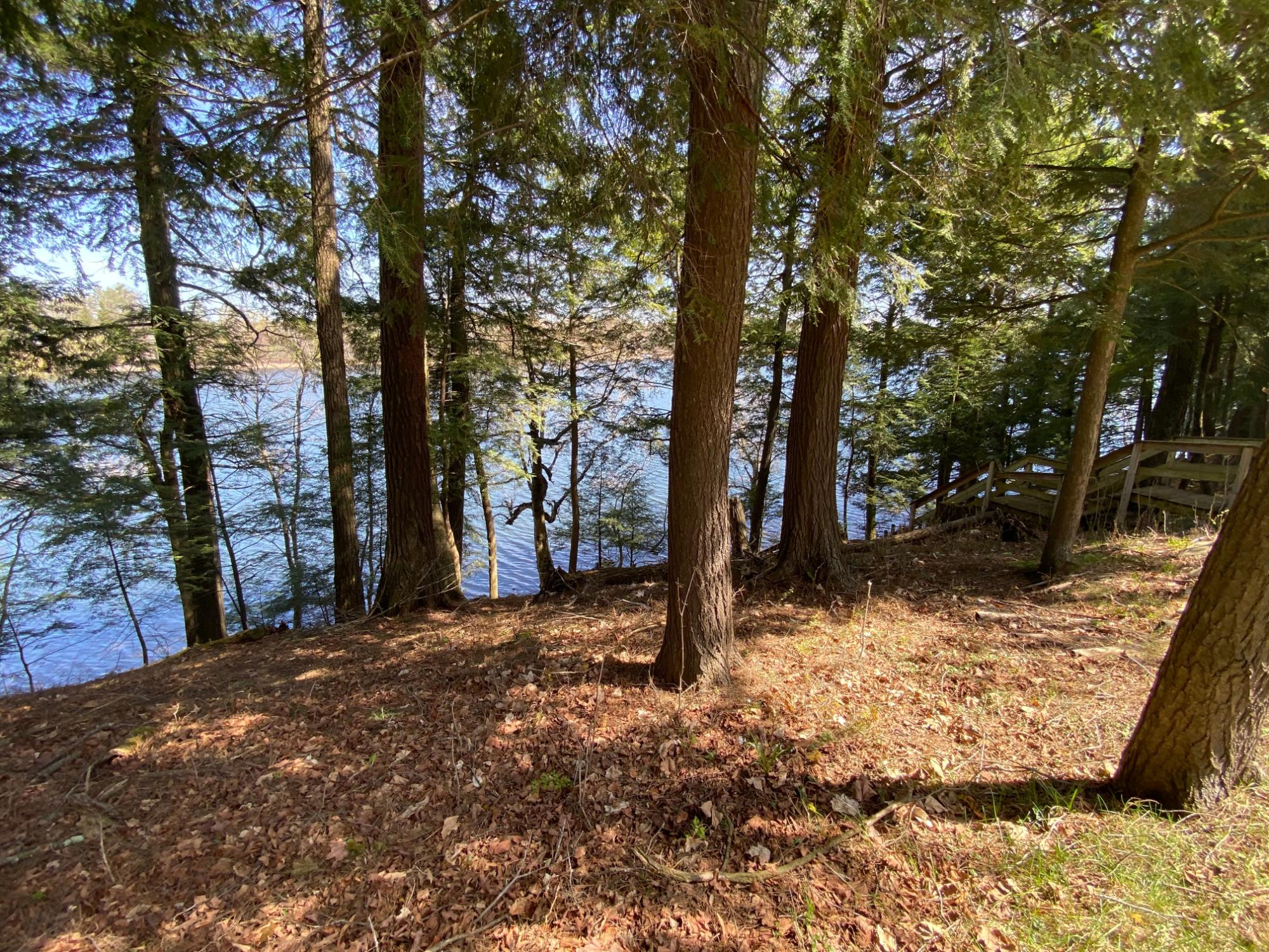 Picture 8 - Mercer Lake (M) Property 204902