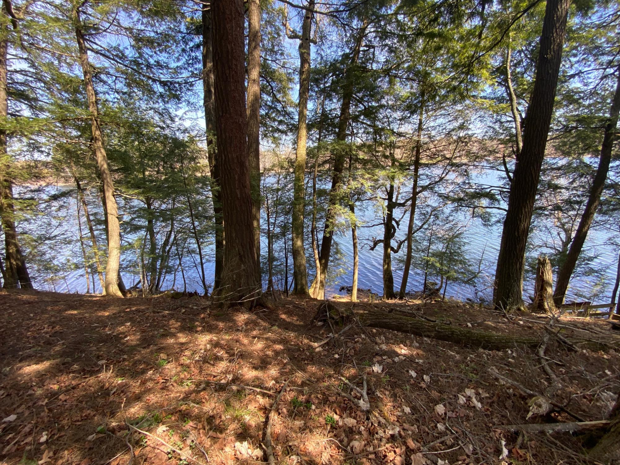 Picture 7 - Mercer Lake (M) Property 204902