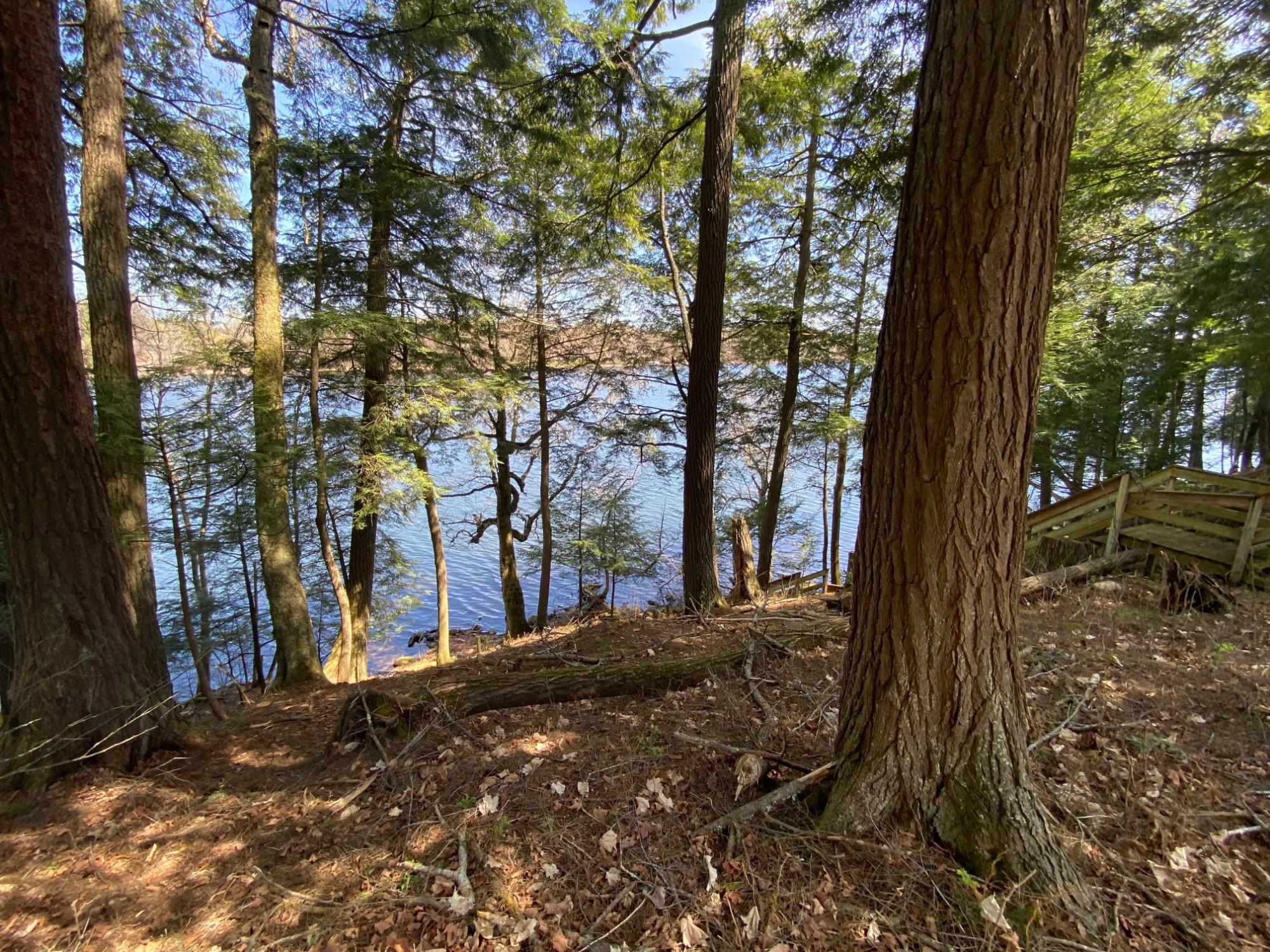 Picture 6 - Mercer Lake (M) Property 204902