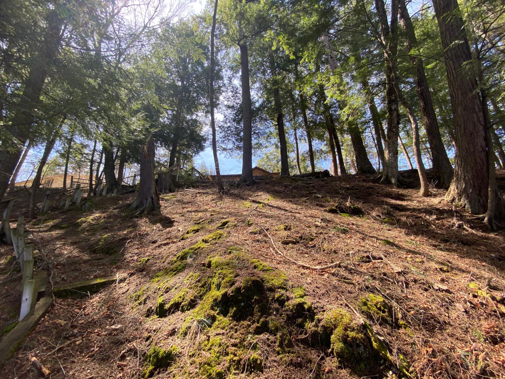 Picture 5 - Mercer Lake (M) Property 204902