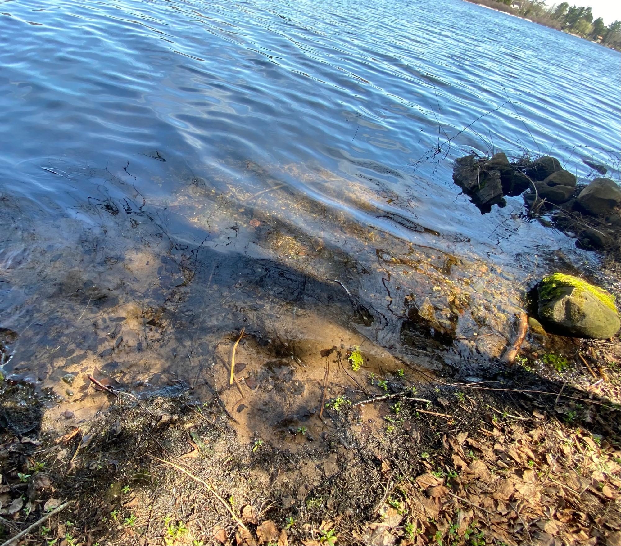 Picture 4 - Mercer Lake (M) Property 204902