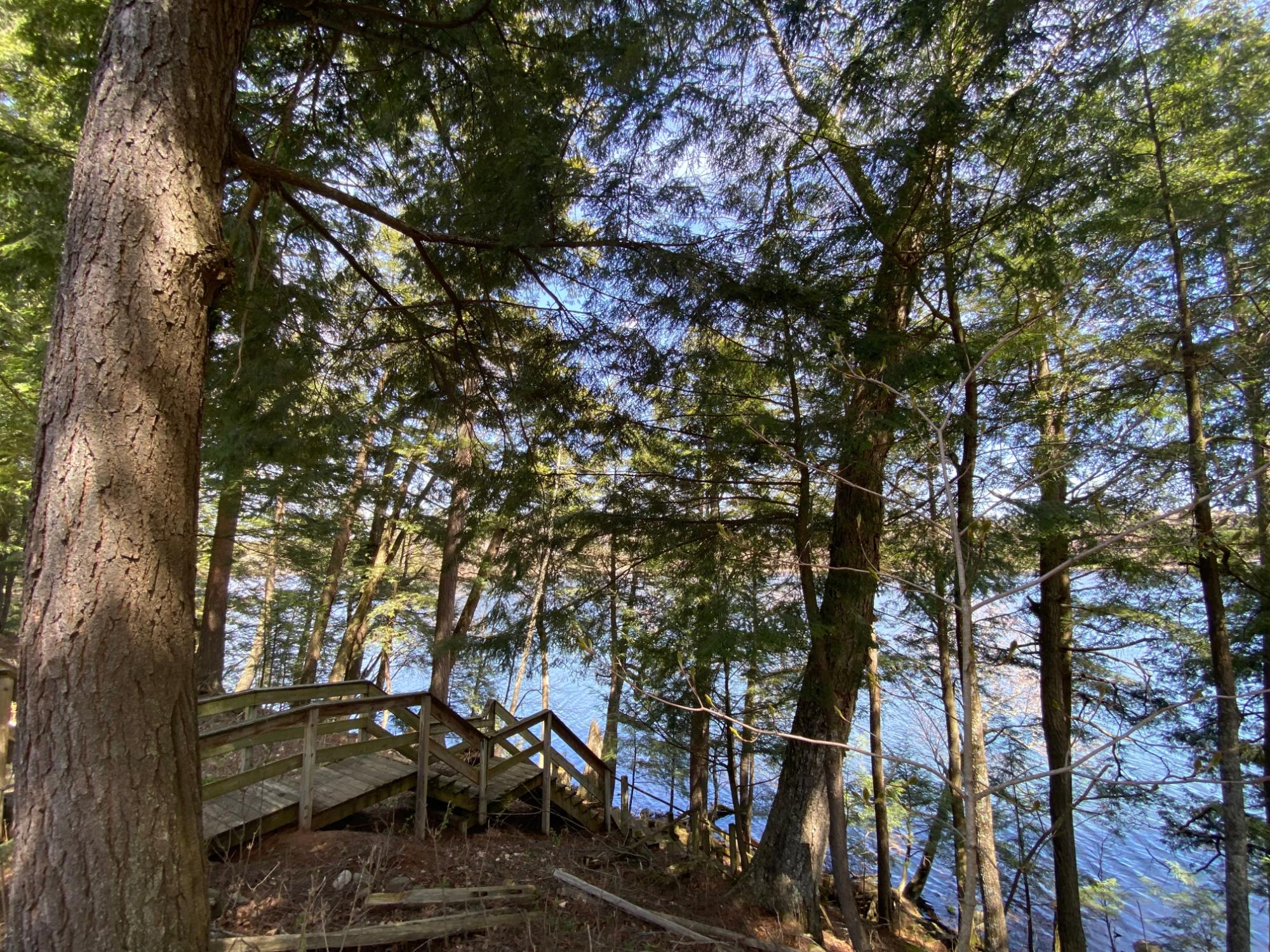 Picture 28 - Mercer Lake (M) Property 204902