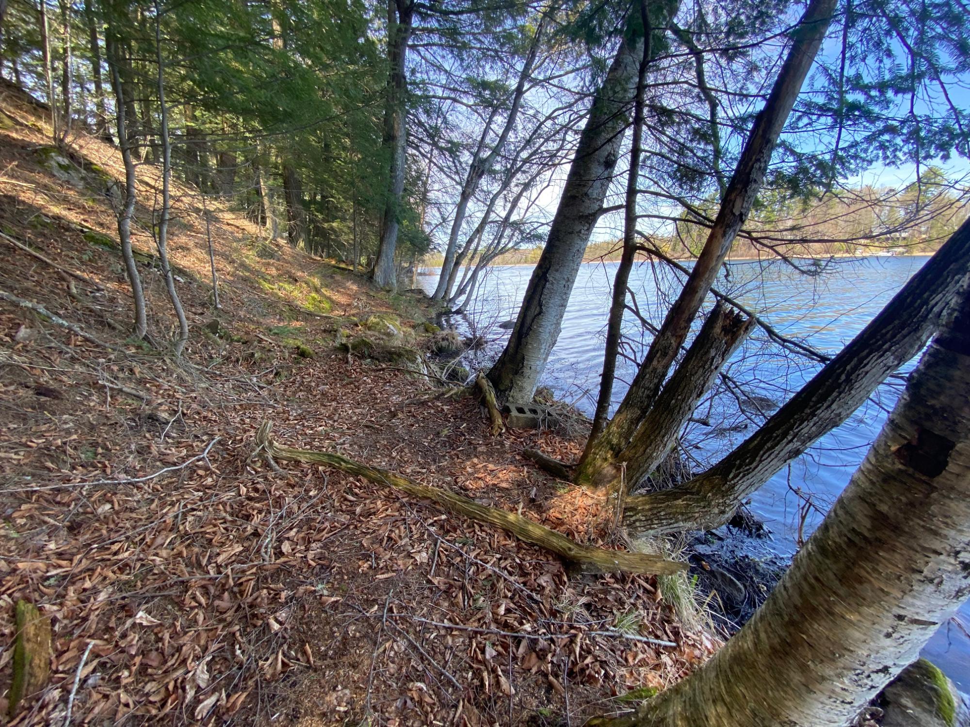 Picture 26 - Mercer Lake (M) Property 204902