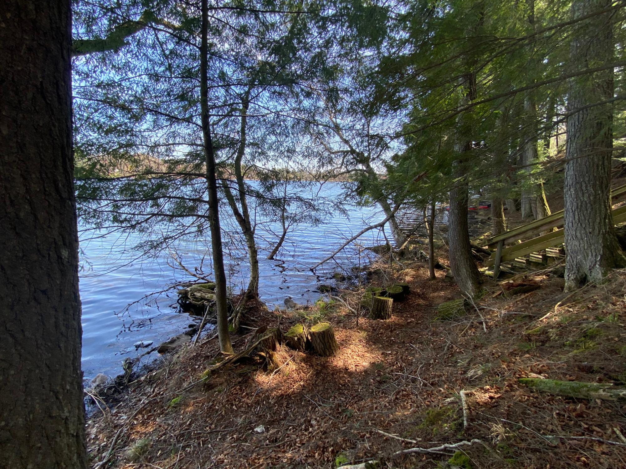 Picture 25 - Mercer Lake (M) Property 204902