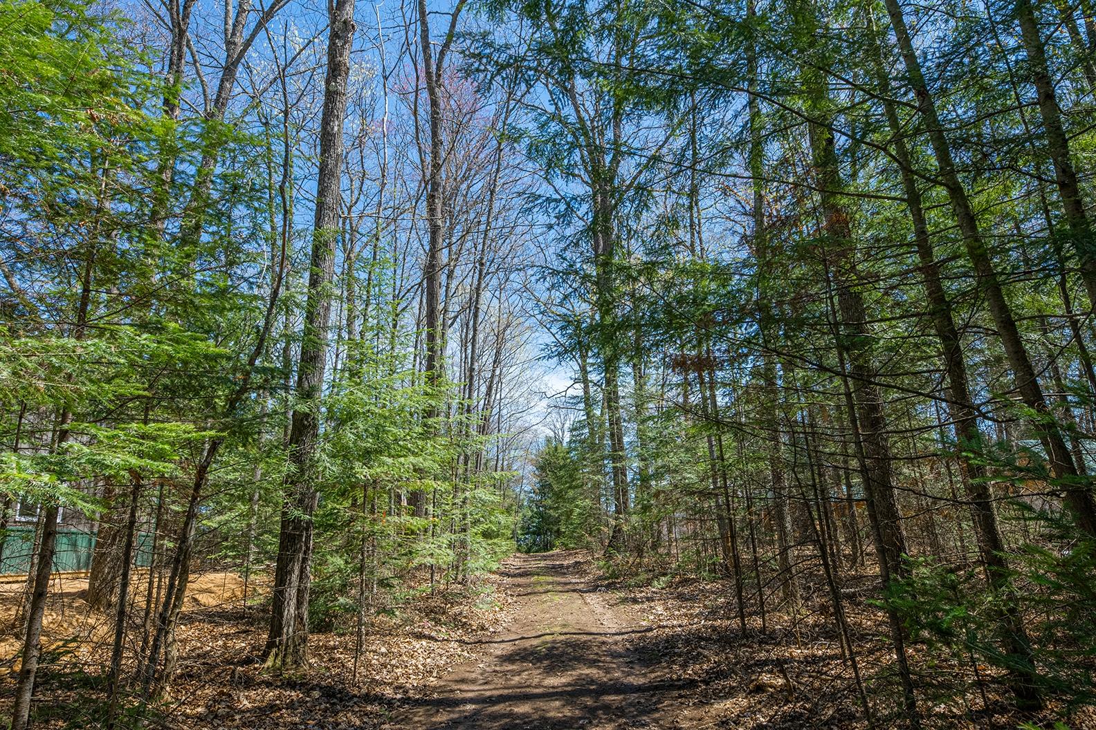 Picture 13 - Dam Lake Property 205329