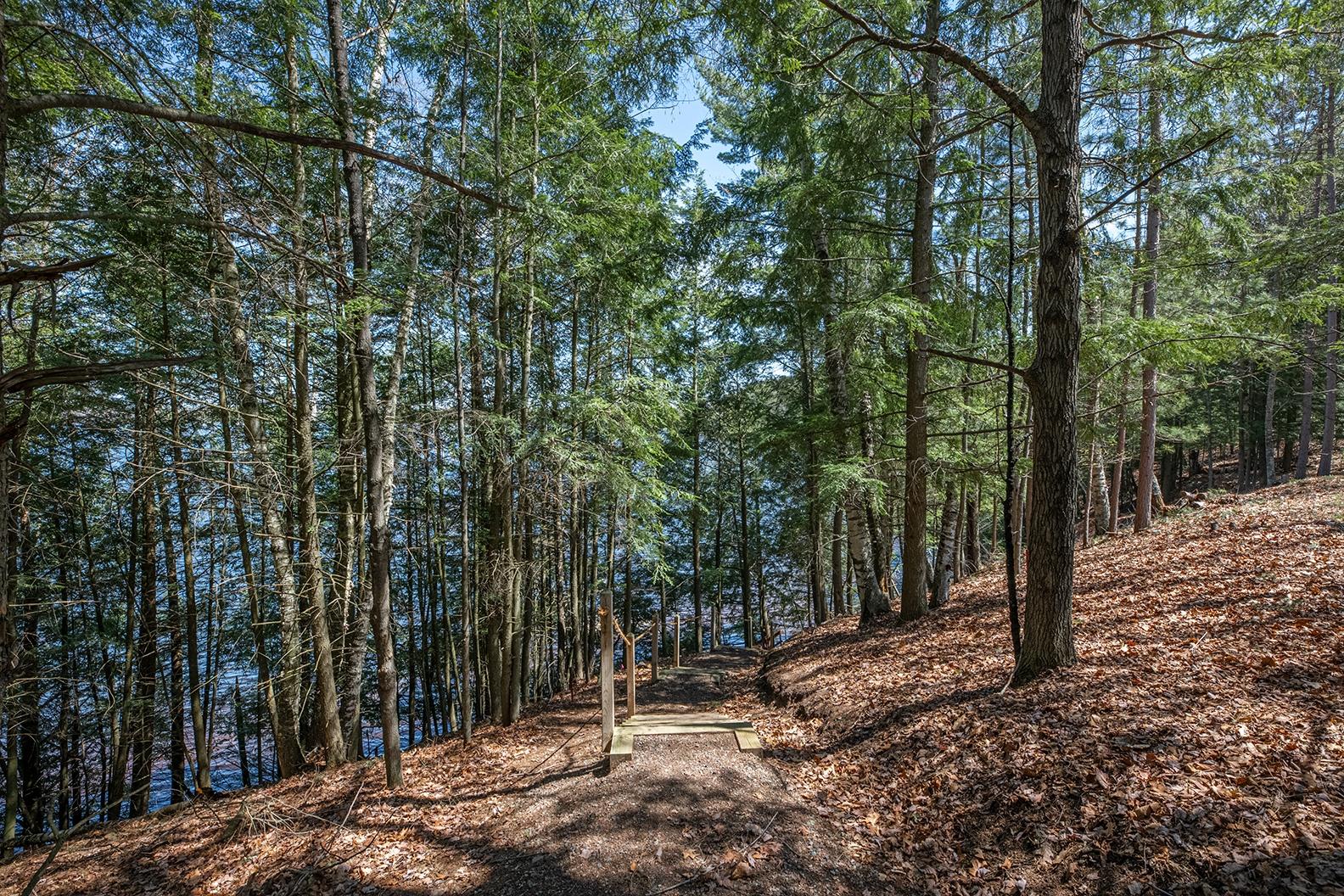 Picture 12 - Dam Lake Property 205329