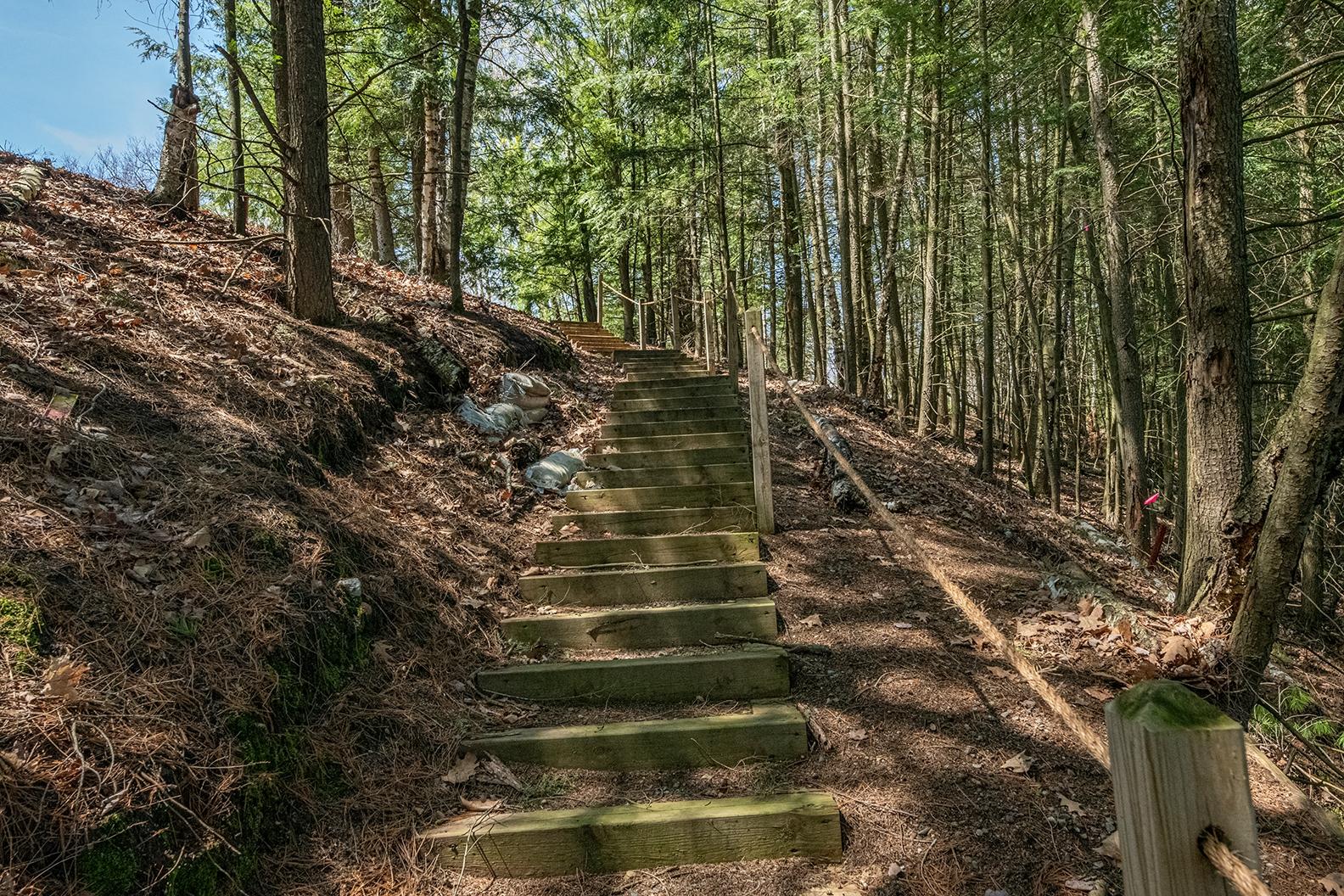 Picture 11 - Dam Lake Property 205329