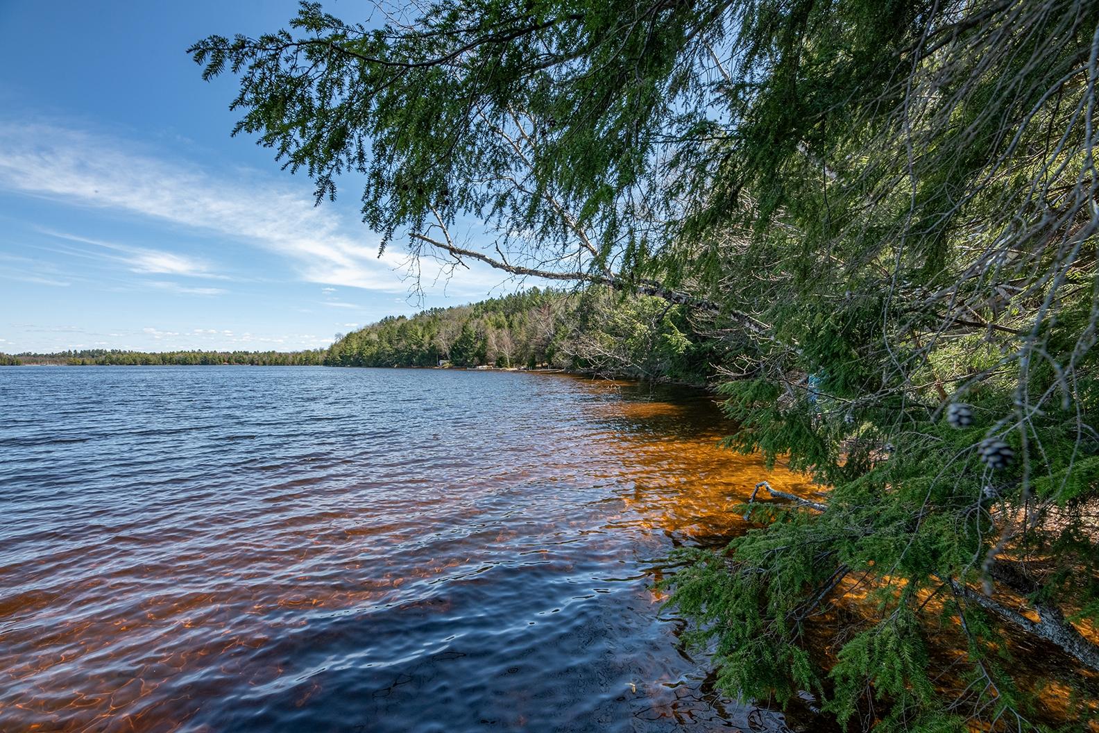Picture 9 - Dam Lake Property 205329