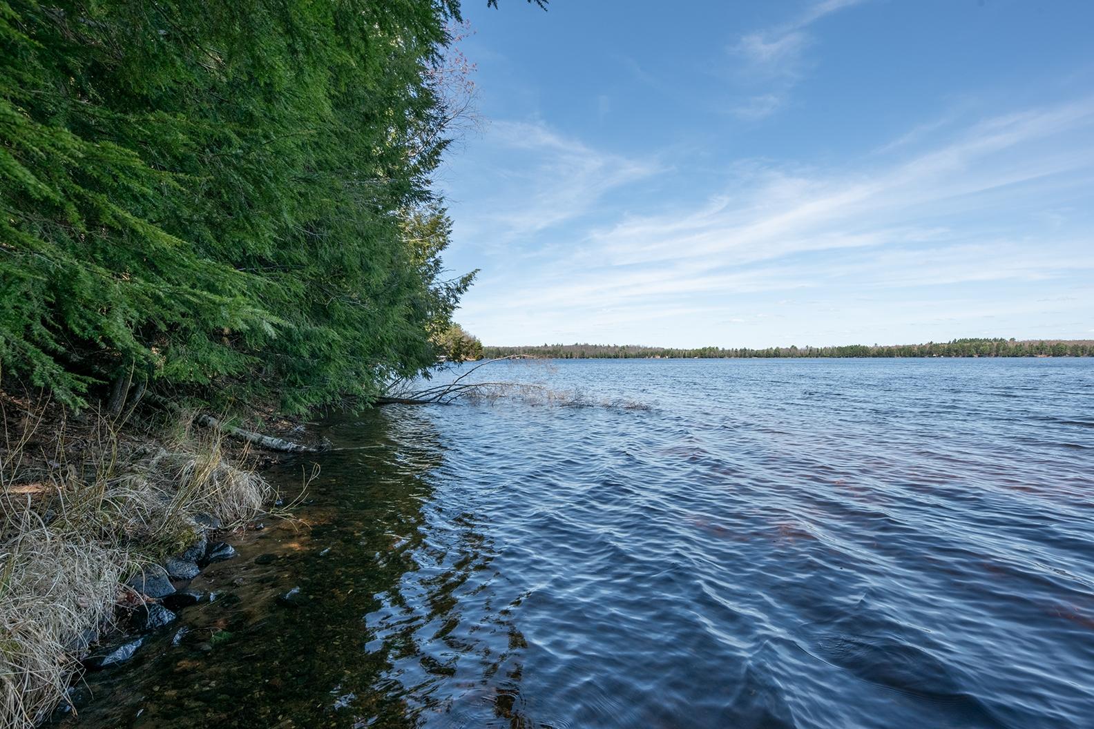 Picture 7 - Dam Lake Property 205329