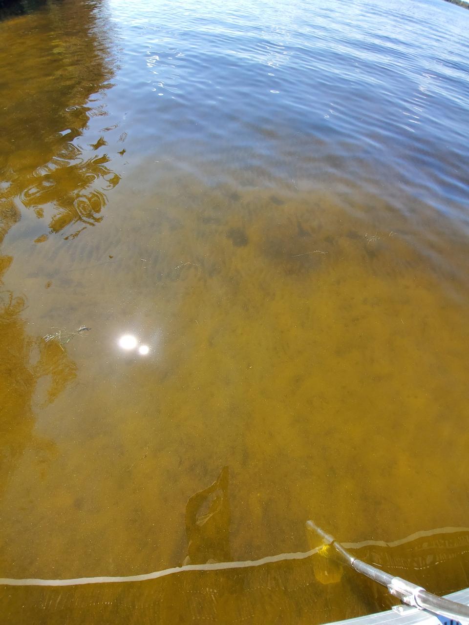 Picture 42 - Lac Vieux Desert Property 205503