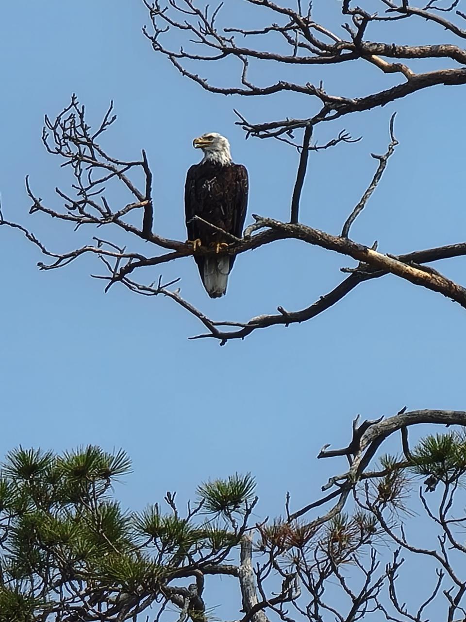 Picture 30 - Lac Vieux Desert Property 205503