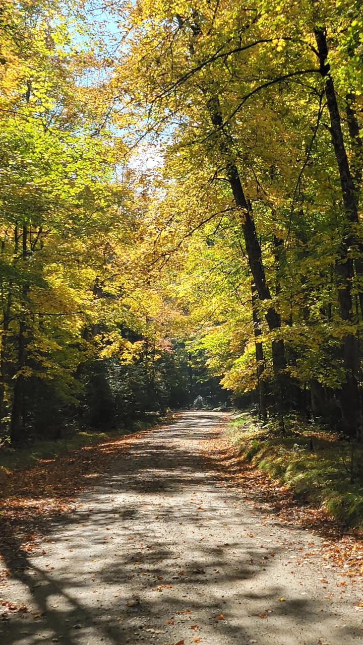 Picture 58 - Lac Vieux Desert Property 205503