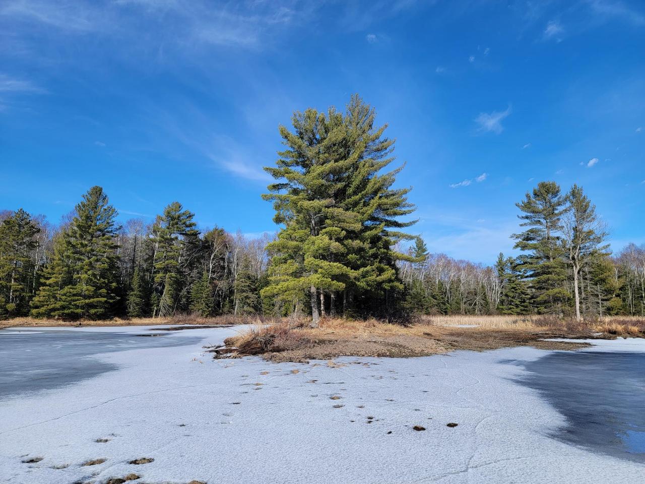 Trude Lake Property Off Popko Cr E Photo 1