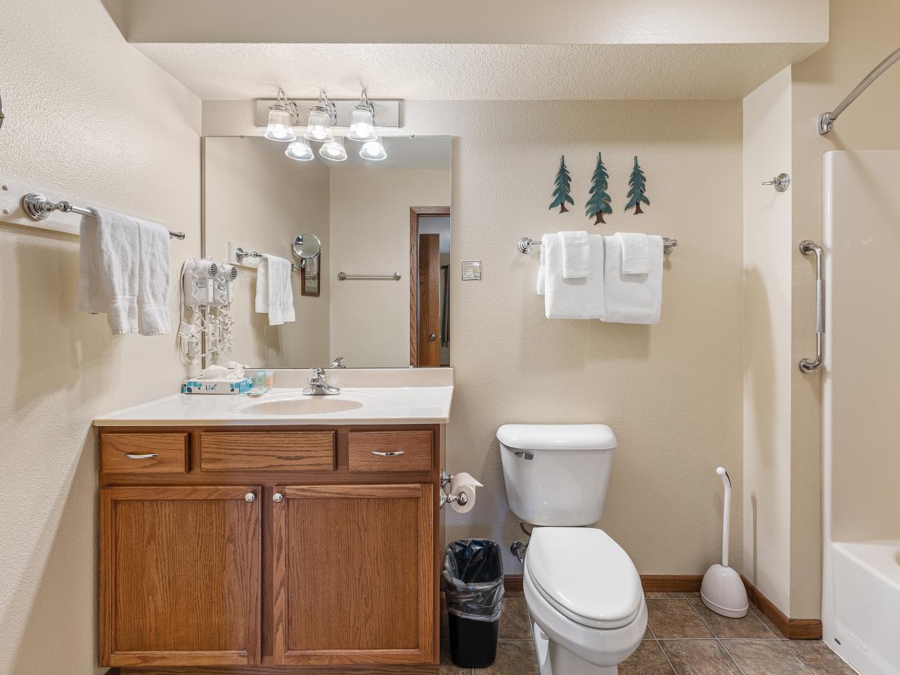 Picture 22 - Lynx Lake (ER) Property 205866