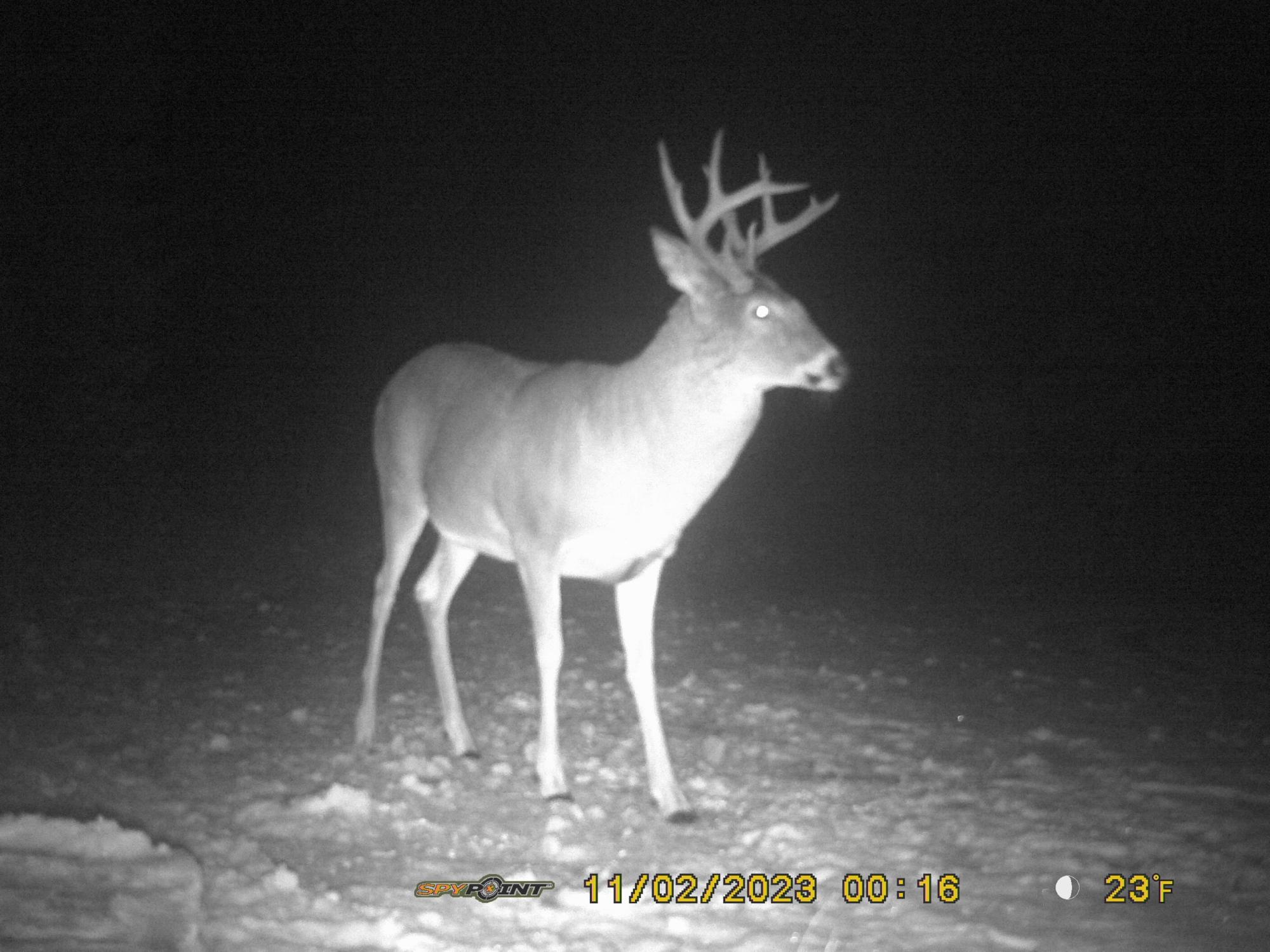 Picture 3 - Undocumented Lake Property 206205