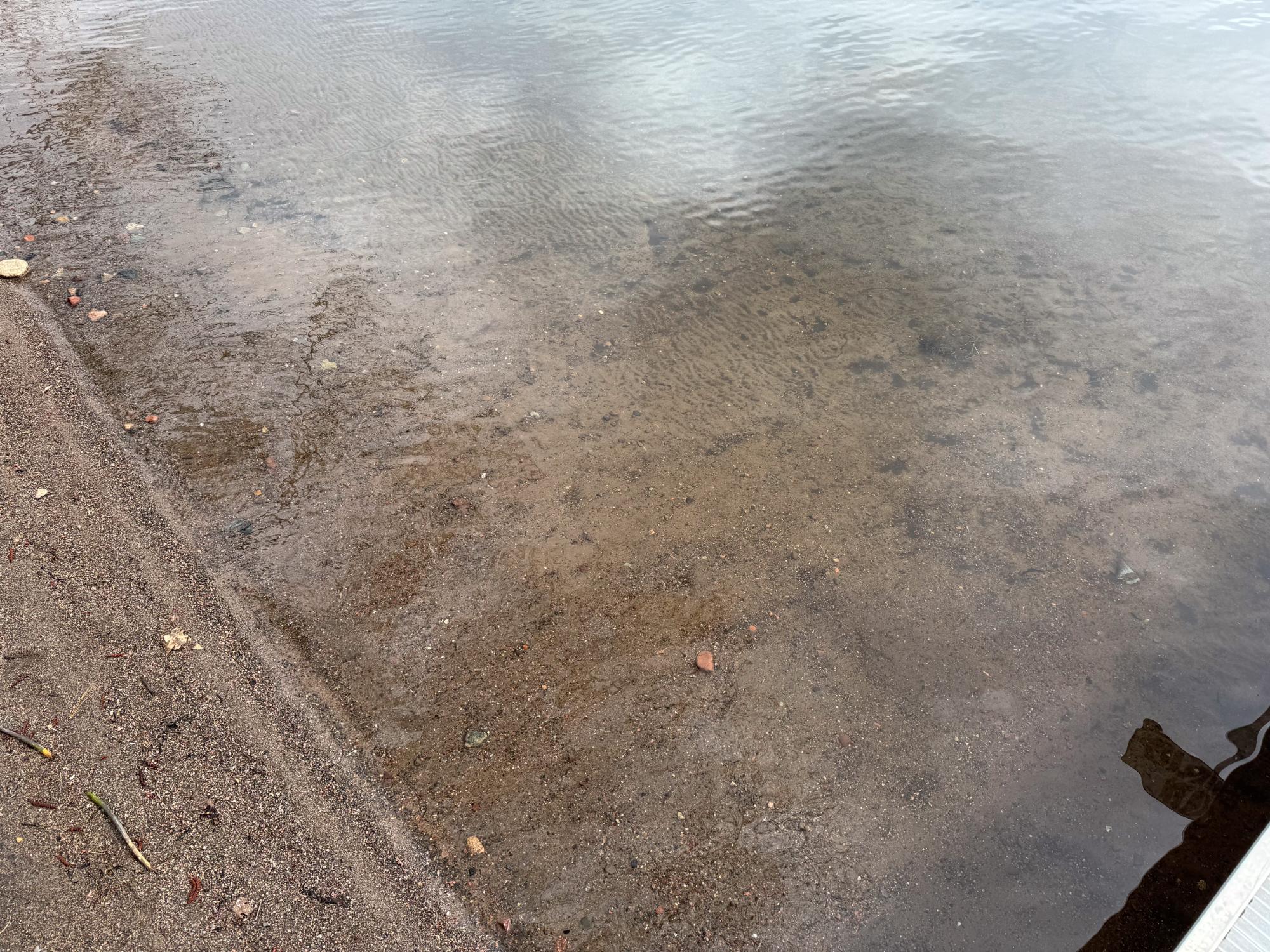 Picture 7 - Booth Lake Property 206398