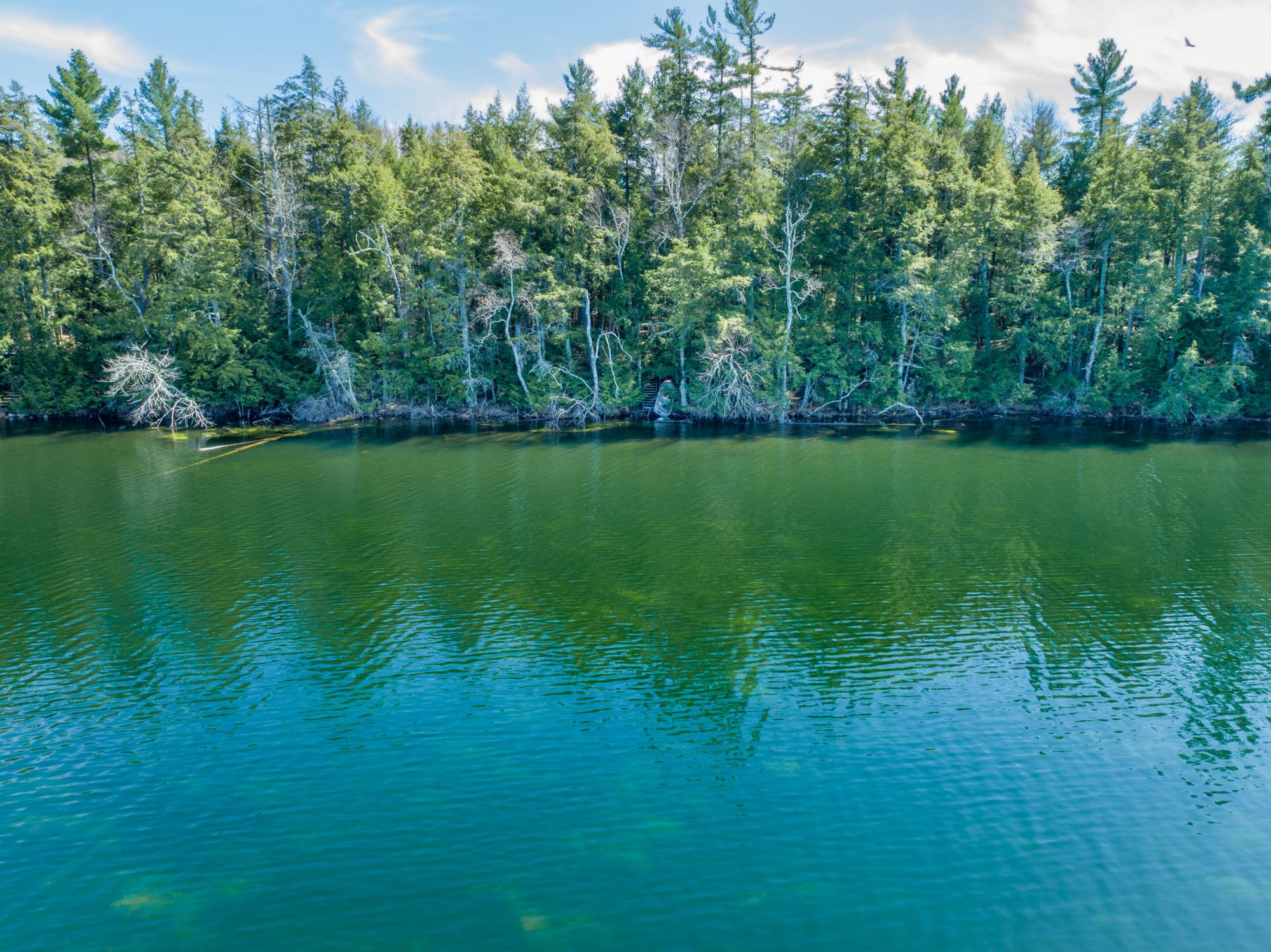 Picture 10 - Muskesin Lake Property 206478