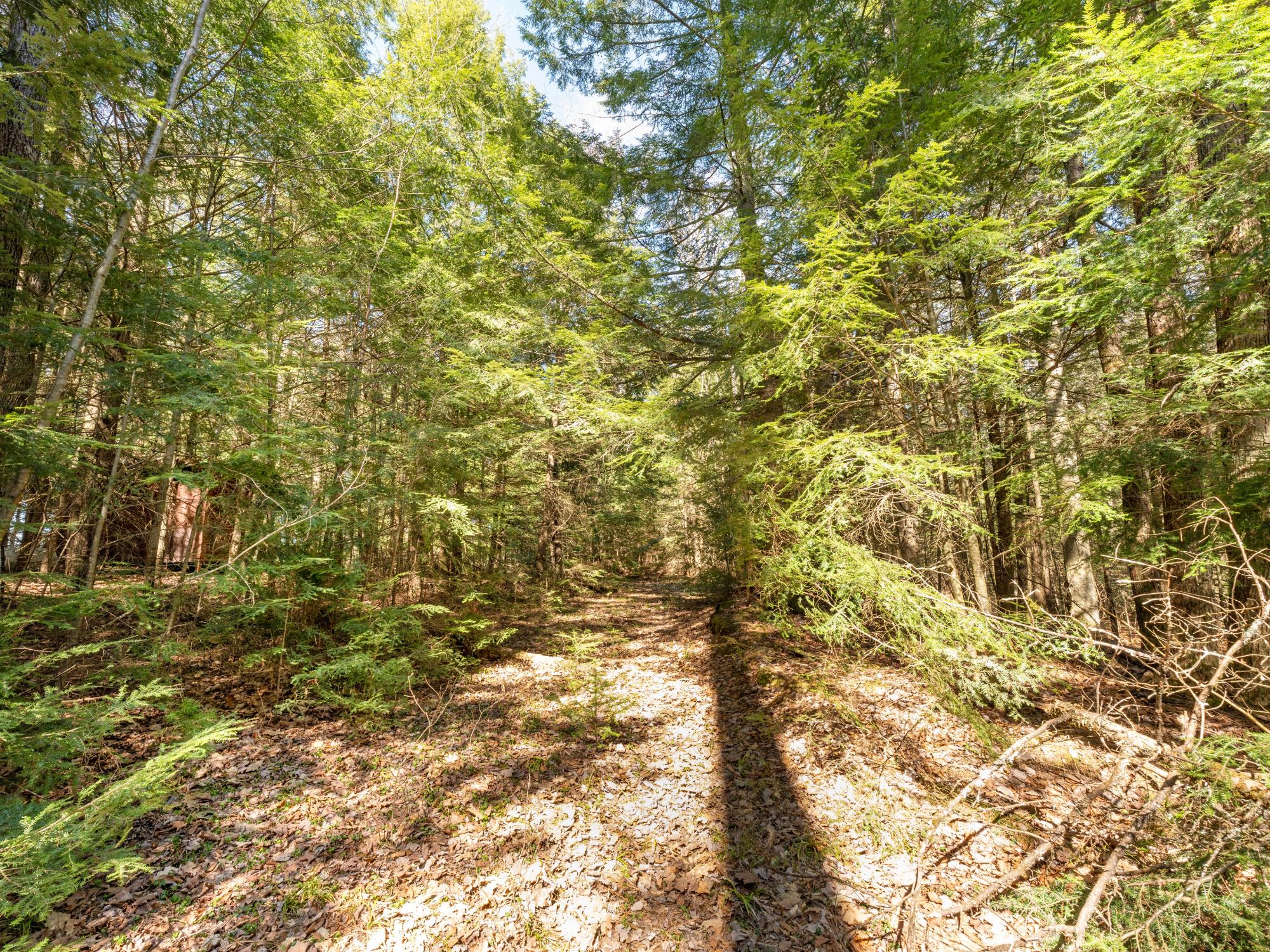 Picture 3 - Muskesin Lake Property 206478