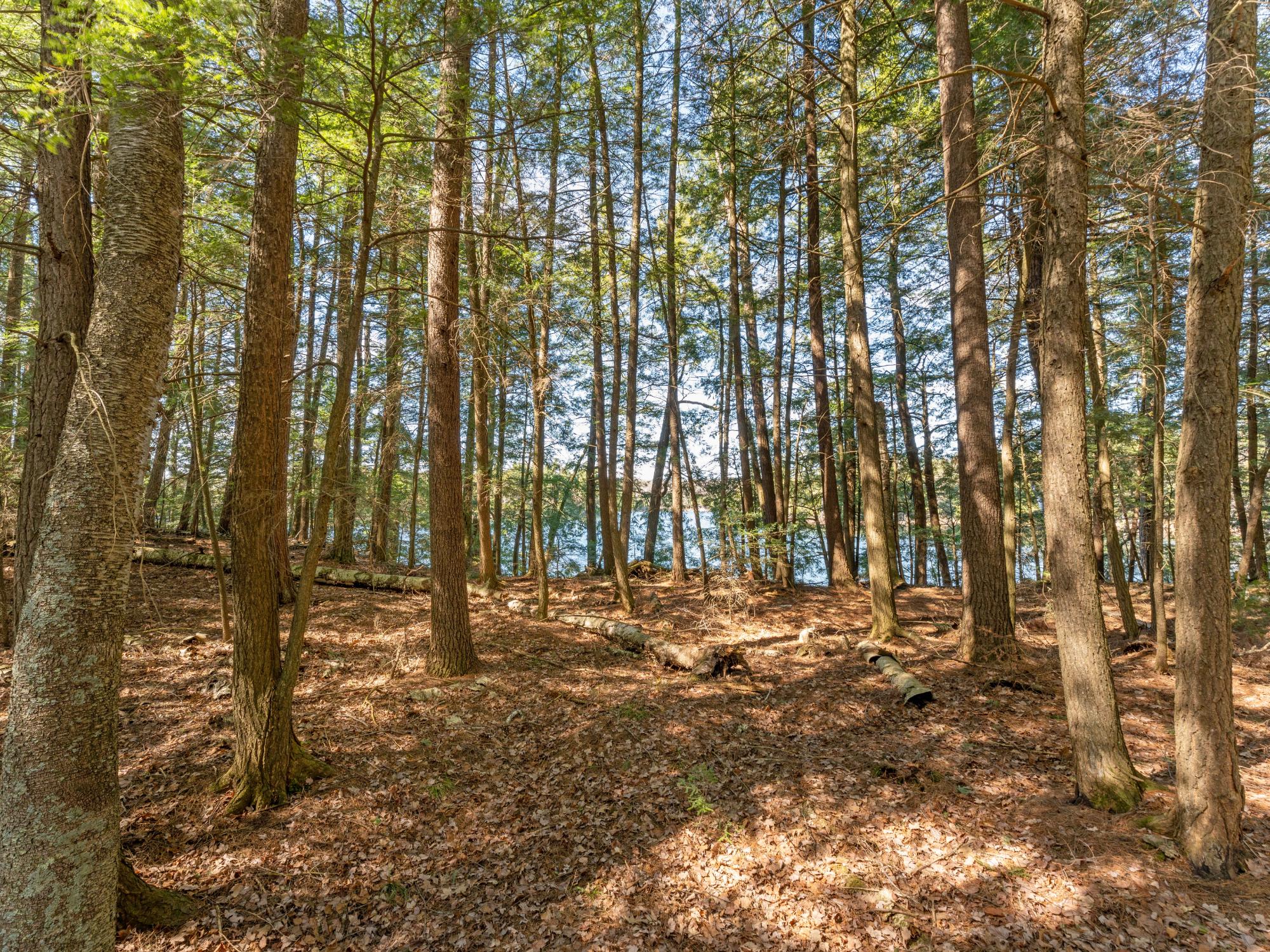 Picture 23 - Muskesin Lake Property 206478