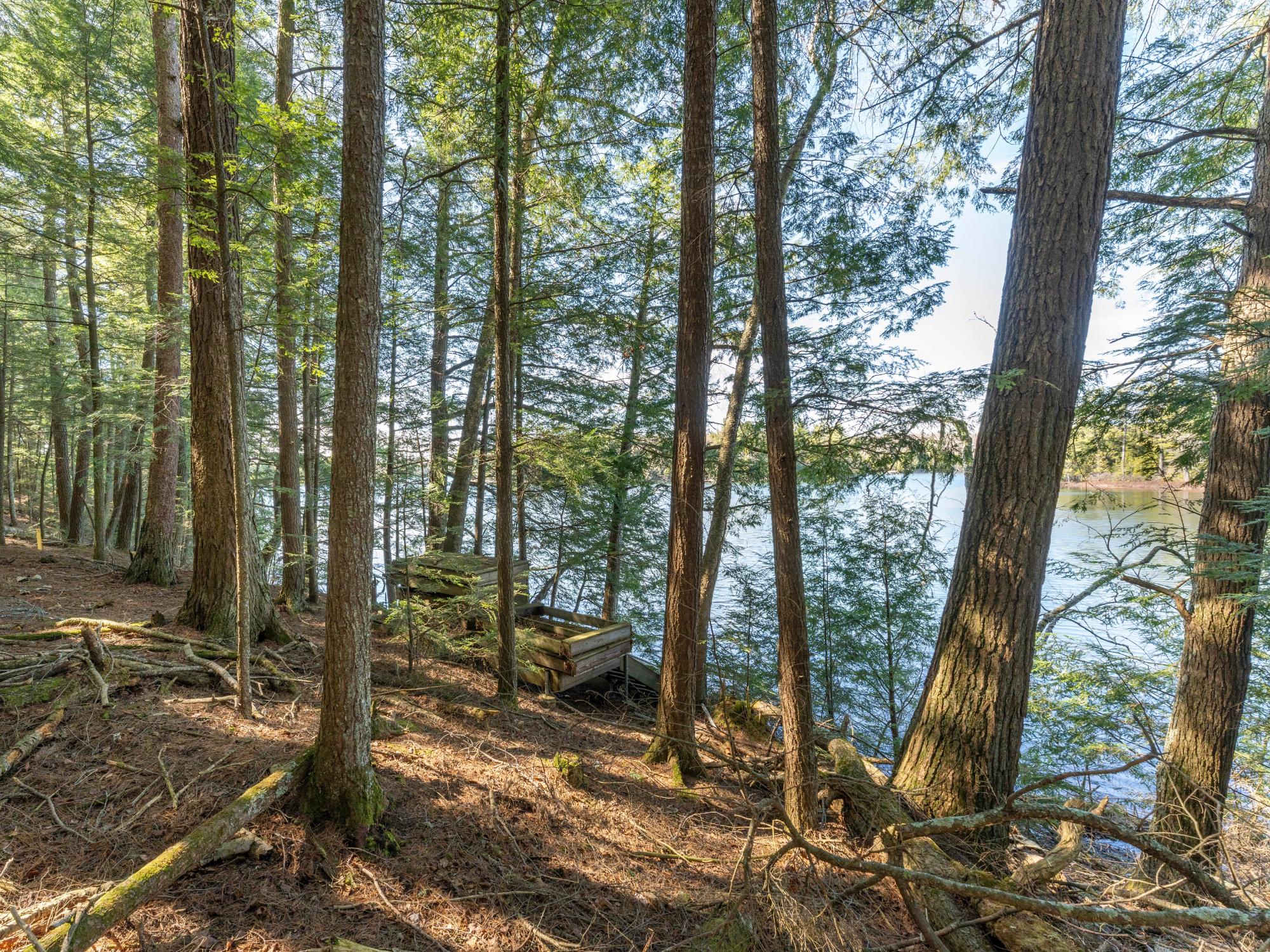 Picture 22 - Muskesin Lake Property 206478