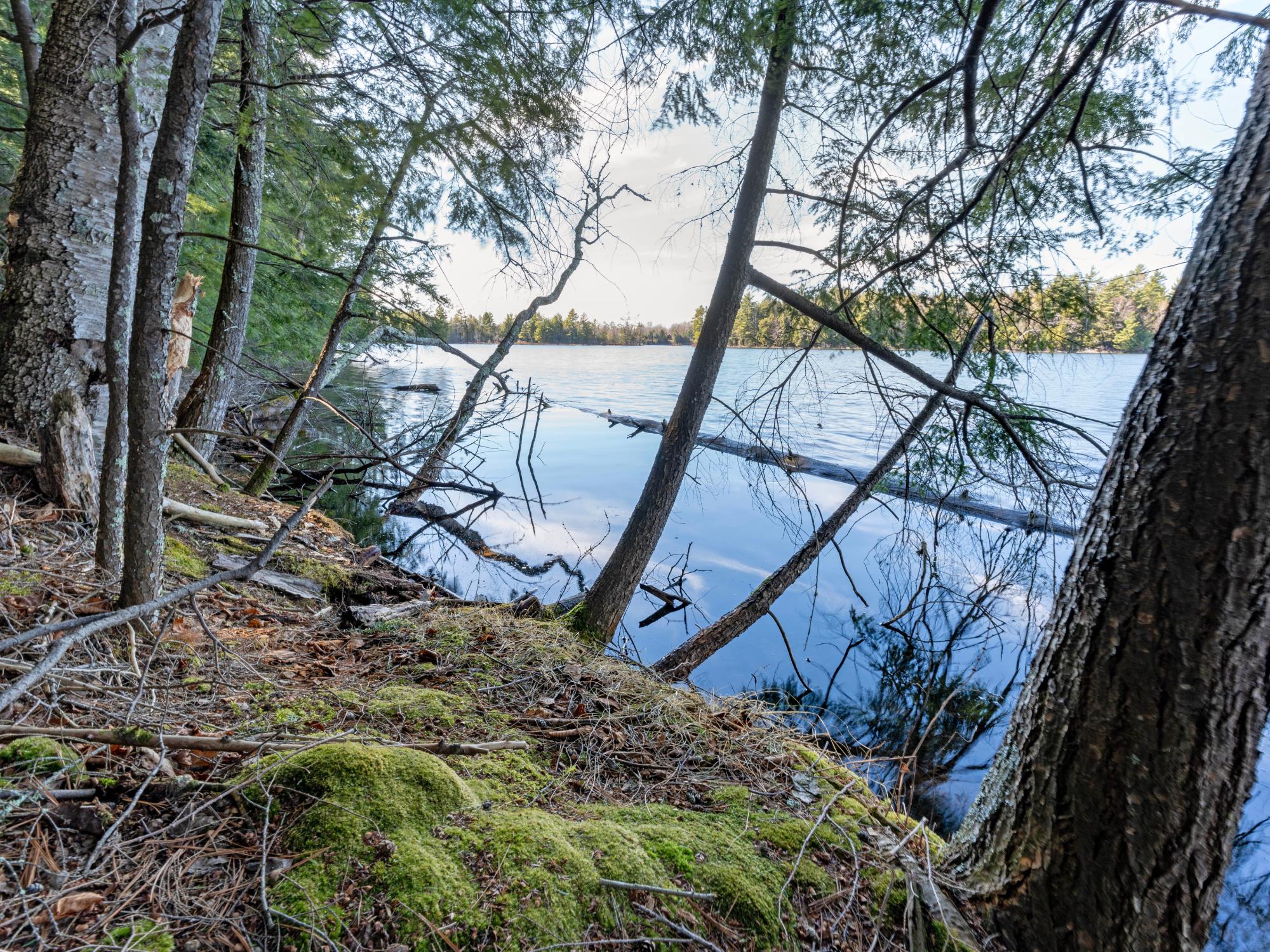 Picture 20 - Muskesin Lake Property 206478