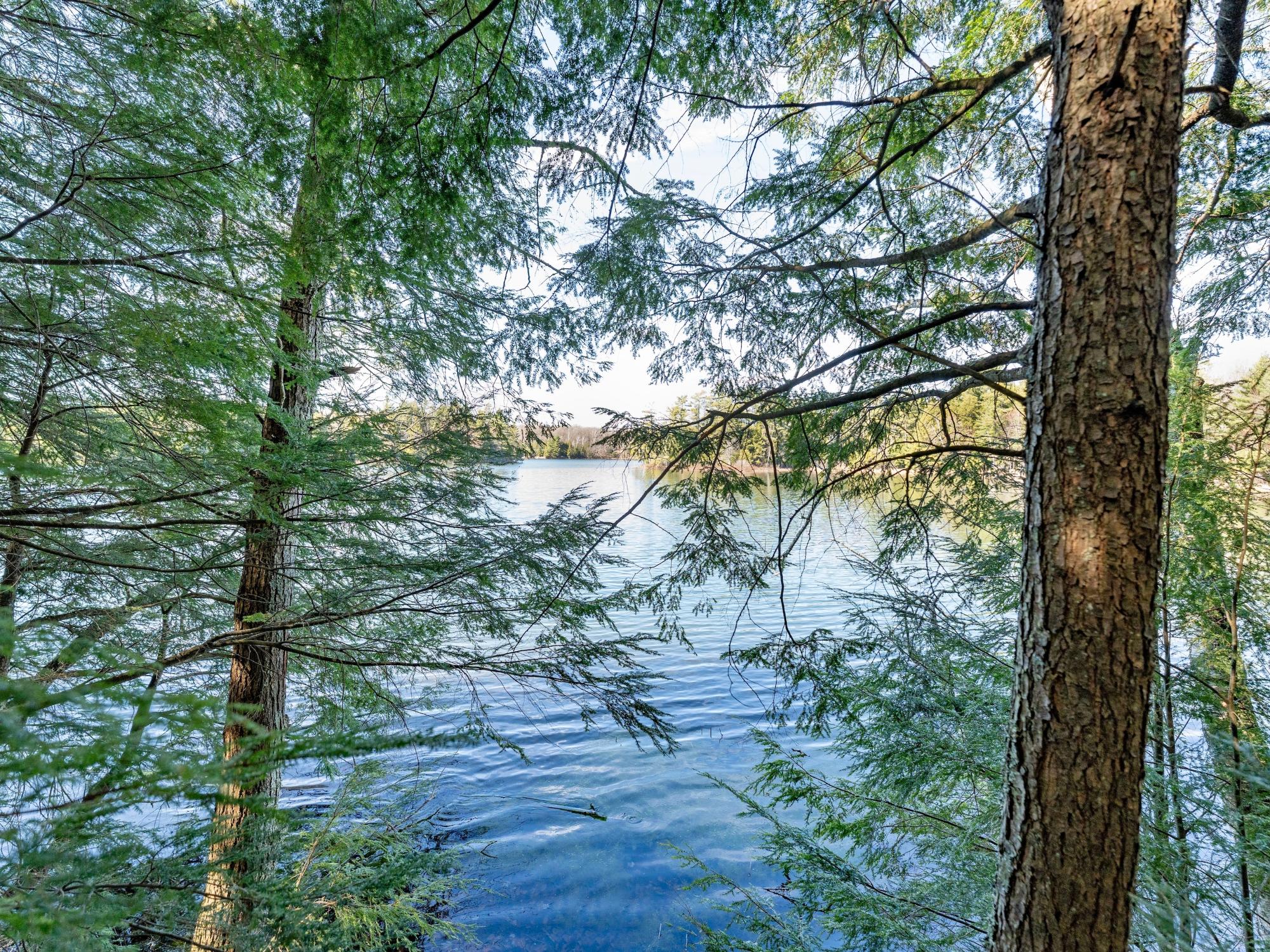 Picture 18 - Muskesin Lake Property 206478