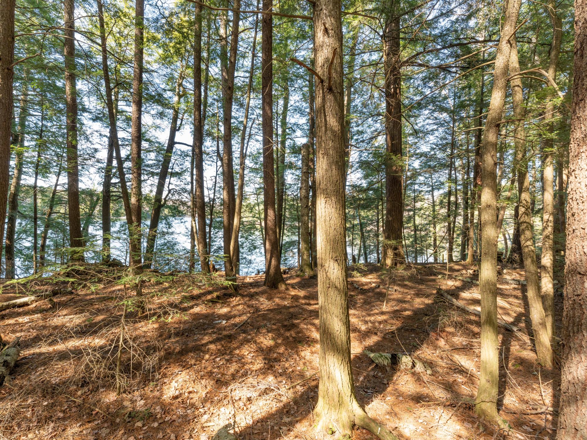 Picture 17 - Muskesin Lake Property 206478