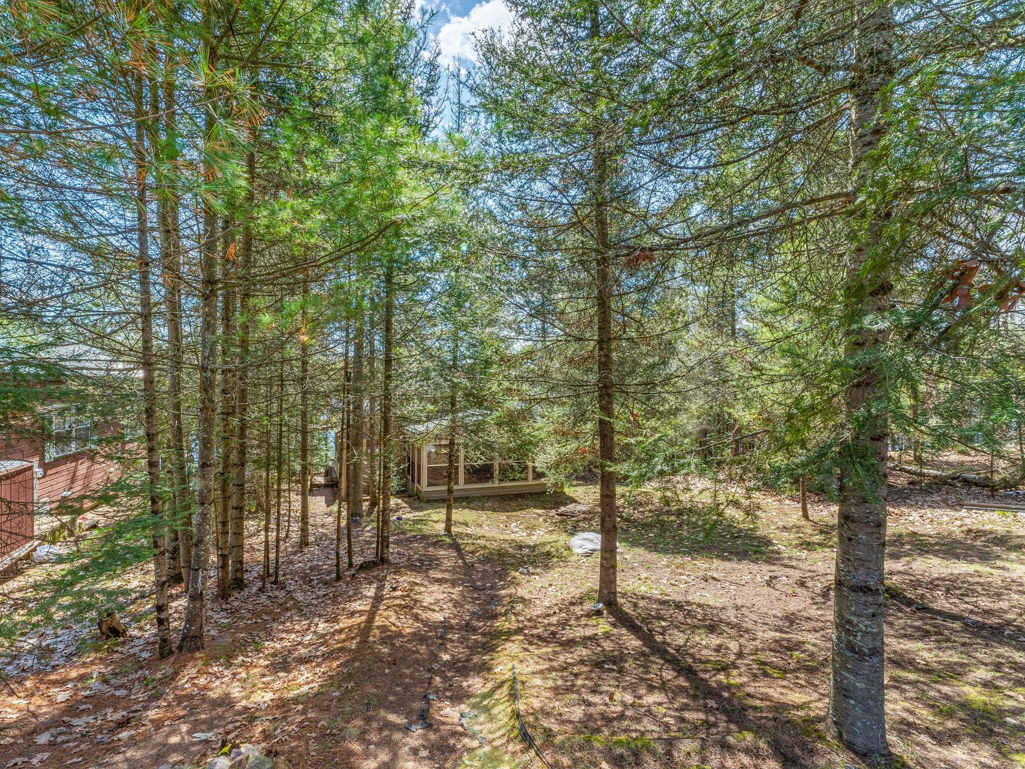 Picture 12 - Little St. Germain Property 206686