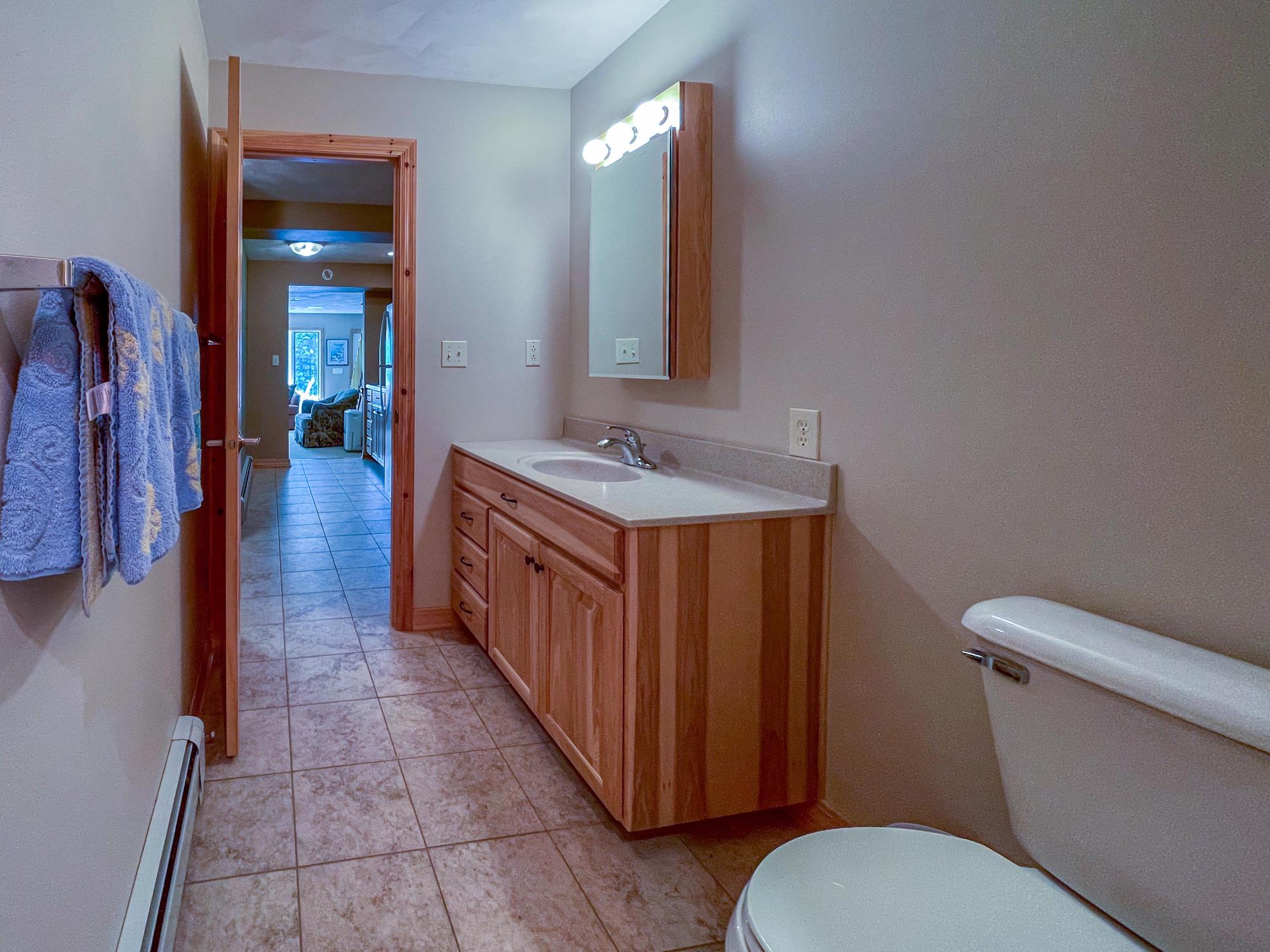 Picture 43 - Lake Julia Property 207049