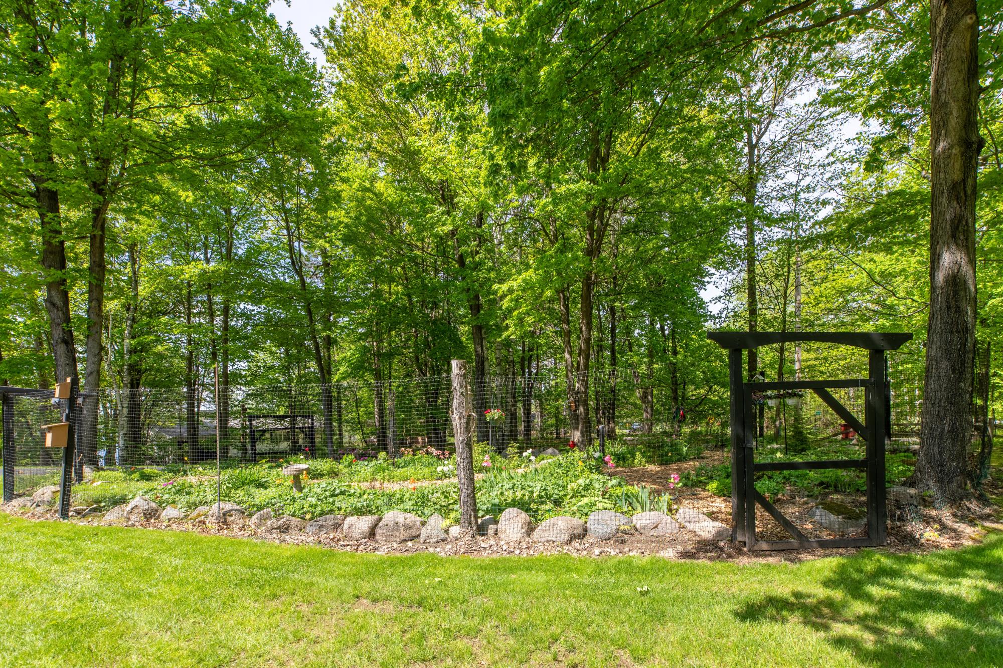 Picture 18 - Lake Julia Property 207049