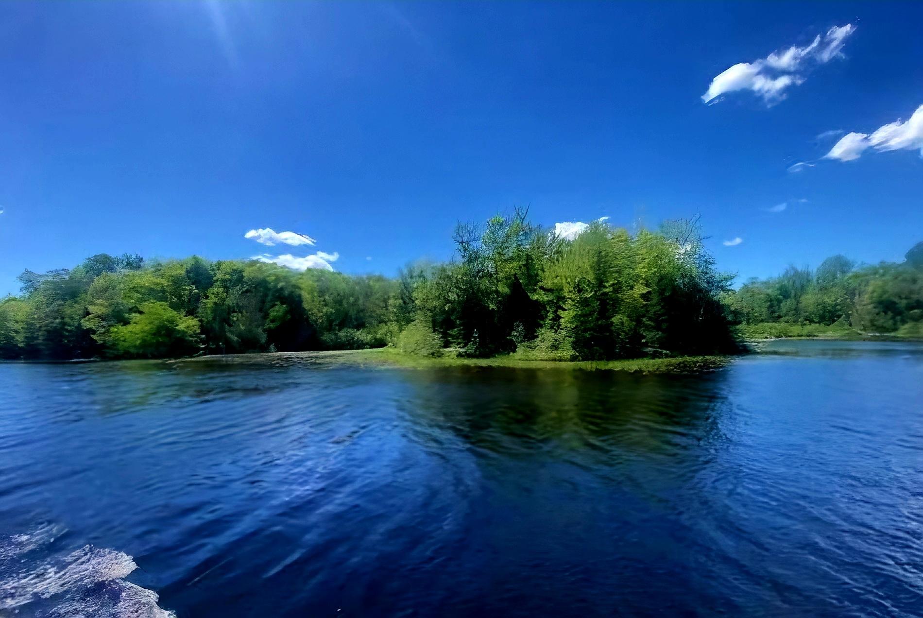 Picture 10 - Oxbow Lake Property 207350