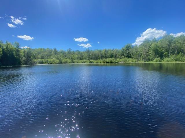 Picture 9 - Oxbow Lake Property 207350