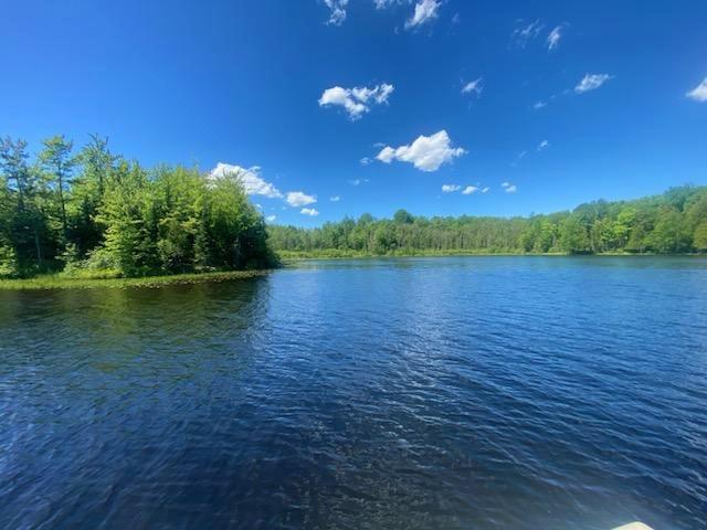 Picture 8 - Oxbow Lake Property 207350