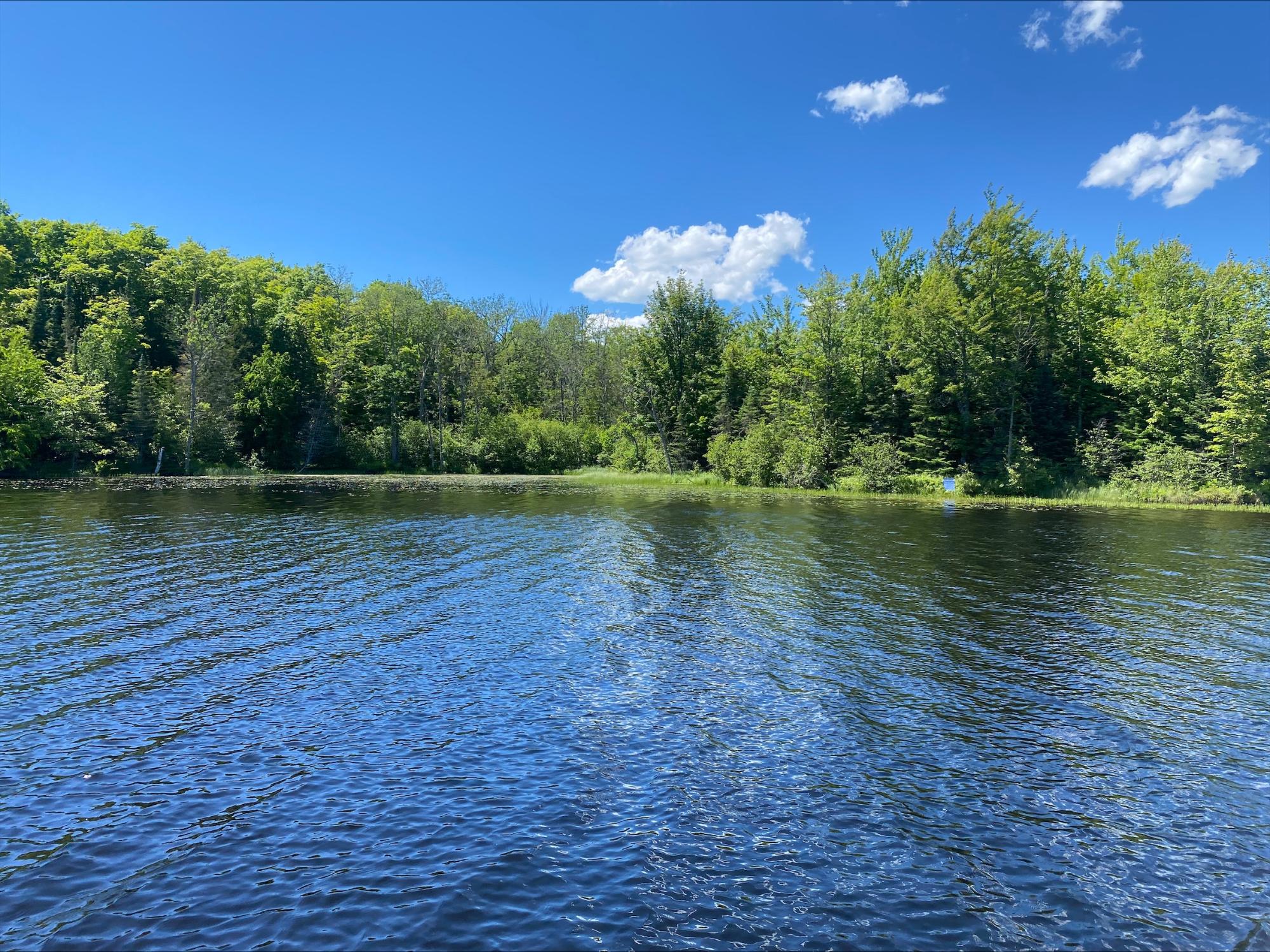 Picture 7 - Oxbow Lake Property 207350