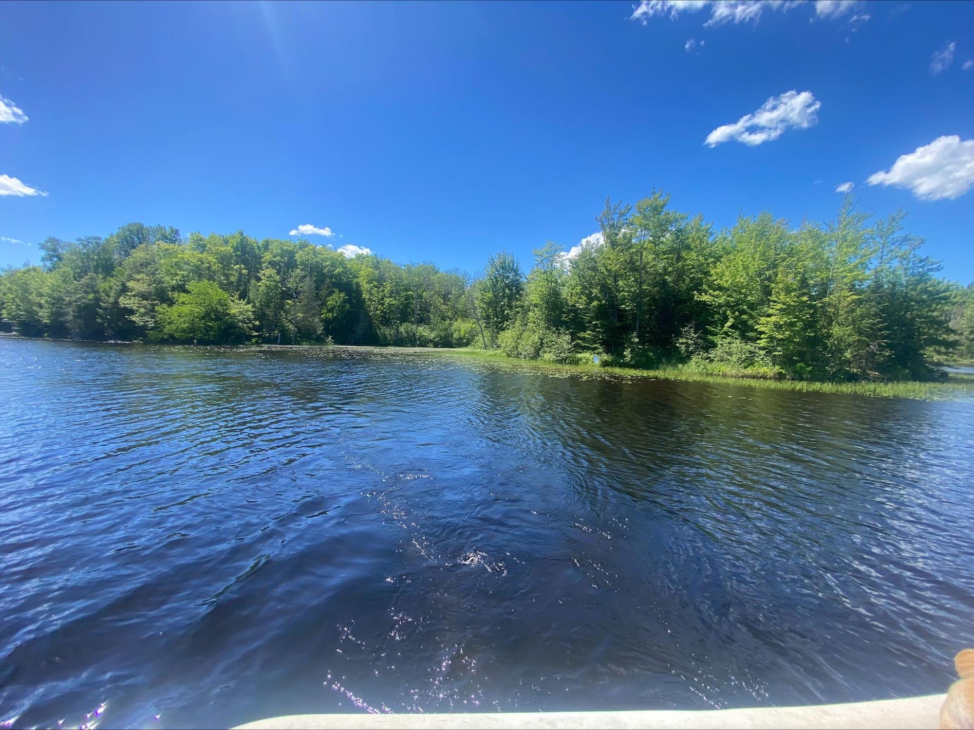 Picture 6 - Oxbow Lake Property 207350