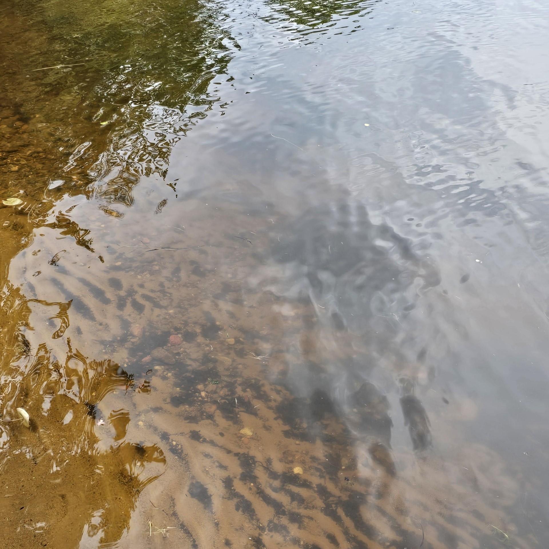 Picture 10 - Diamond Lake (LDF) Property 207792