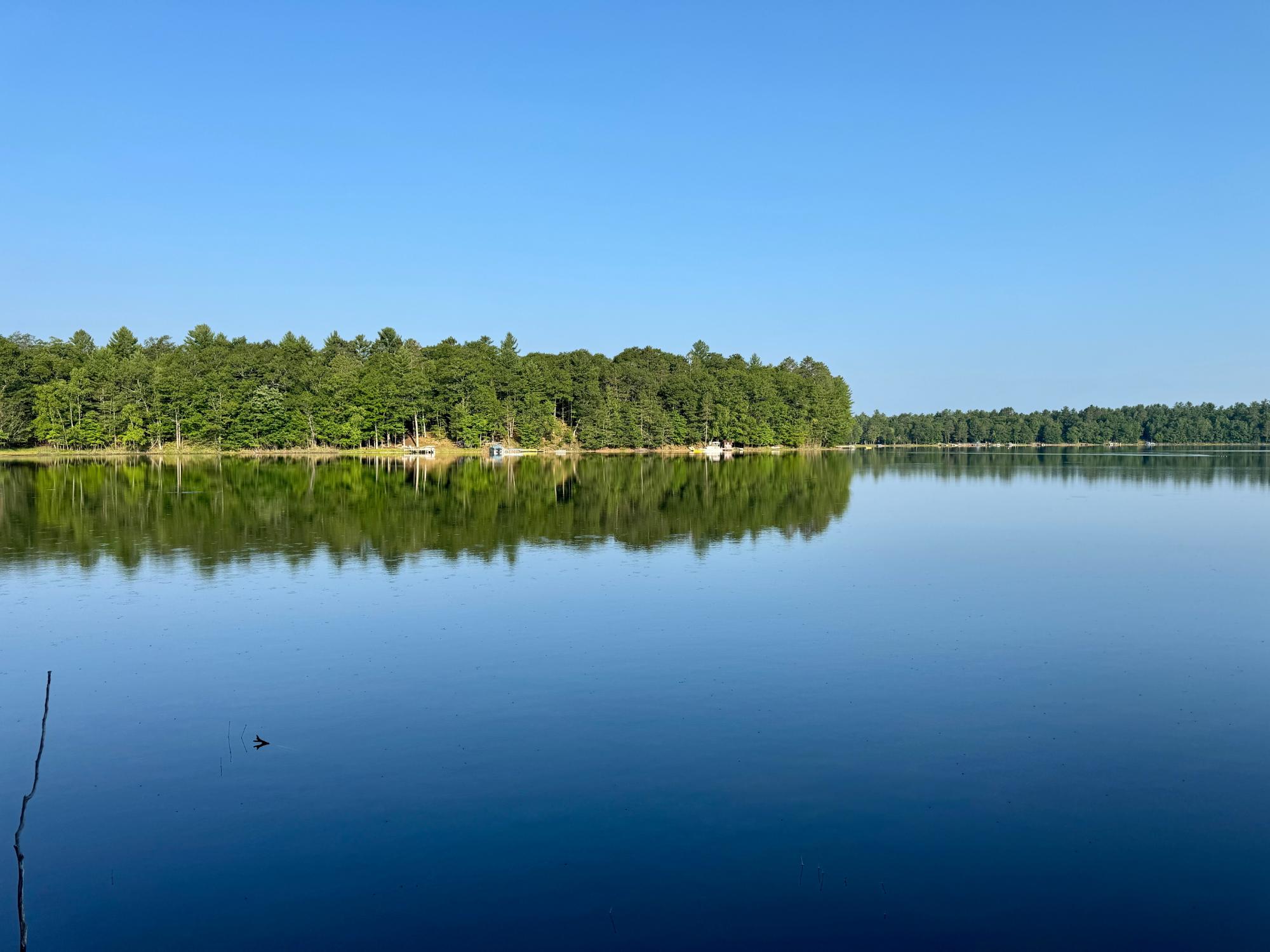 Carpenter Lake Property ON South Bay Ln Photo 1