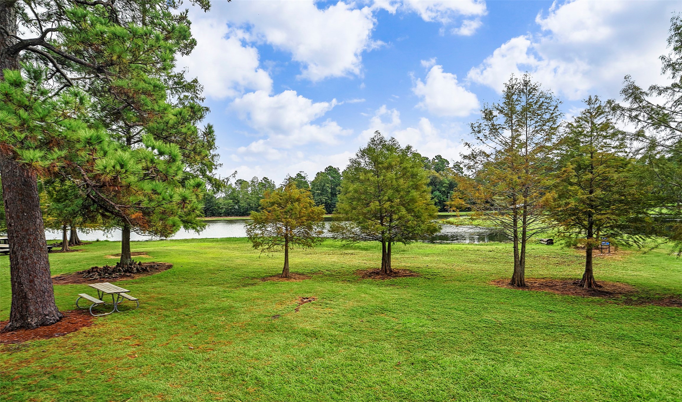 10426 Astor Point Trail  Trail Tomball TX 77375