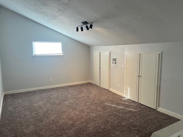 10117 Southridge Drive, Oklahoma City, OK 73159 bonus room featuring carpet, vaulted ceiling, and a textured ceiling