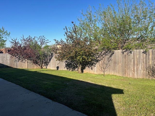 10117 Southridge Drive, Oklahoma City, OK 73159 view of yard