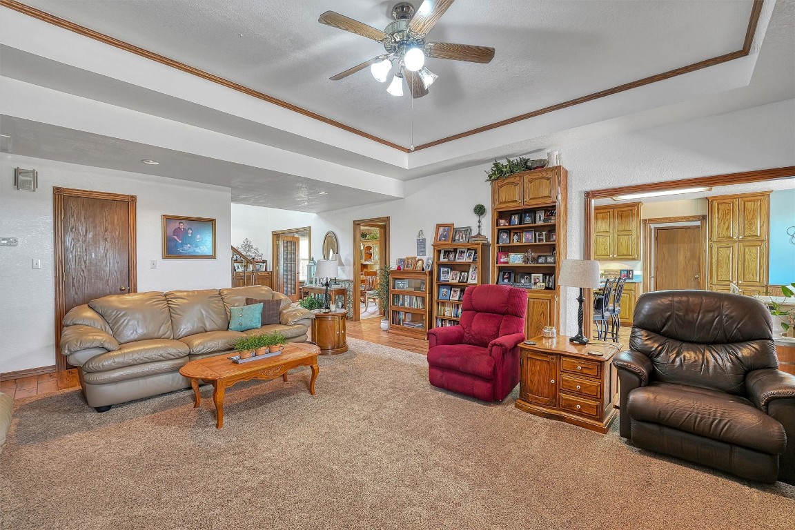 20290 E County Road 175, Elmer, OK 73539 living room featuring ornamental molding, ceiling fan, a raised ceiling, and carpet floors