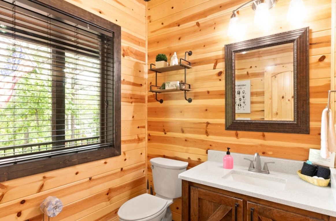 224 PINE FOREST Trail, Broken Bow, OK 74728 bathroom with wood walls, plenty of natural light, toilet, and vanity