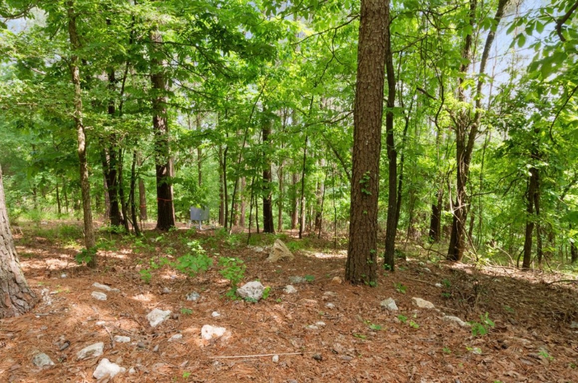 224 PINE FOREST Trail, Broken Bow, OK 74728 view of nature