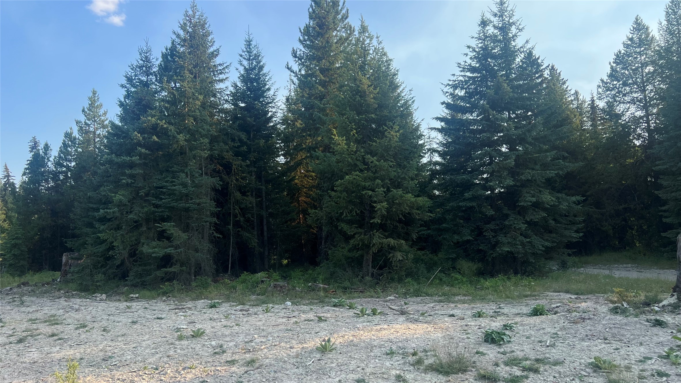 This 20.20 acre lot is located within close proximity to Happy's Inn and halfway between Libby and Kalispell MT. Whether your building your dream home or starting a small homestead this property will meet your needs and has endless potential. Within a short proximity are the Thompson Chain of lakes, lakes, streams and rivers. The year long recreational opportunities in the area are countless. Phone and power are installed. Take a drive and visit your future homesite. Call Roby Bowe at 406-293-1988 or your Real Estate Professional.