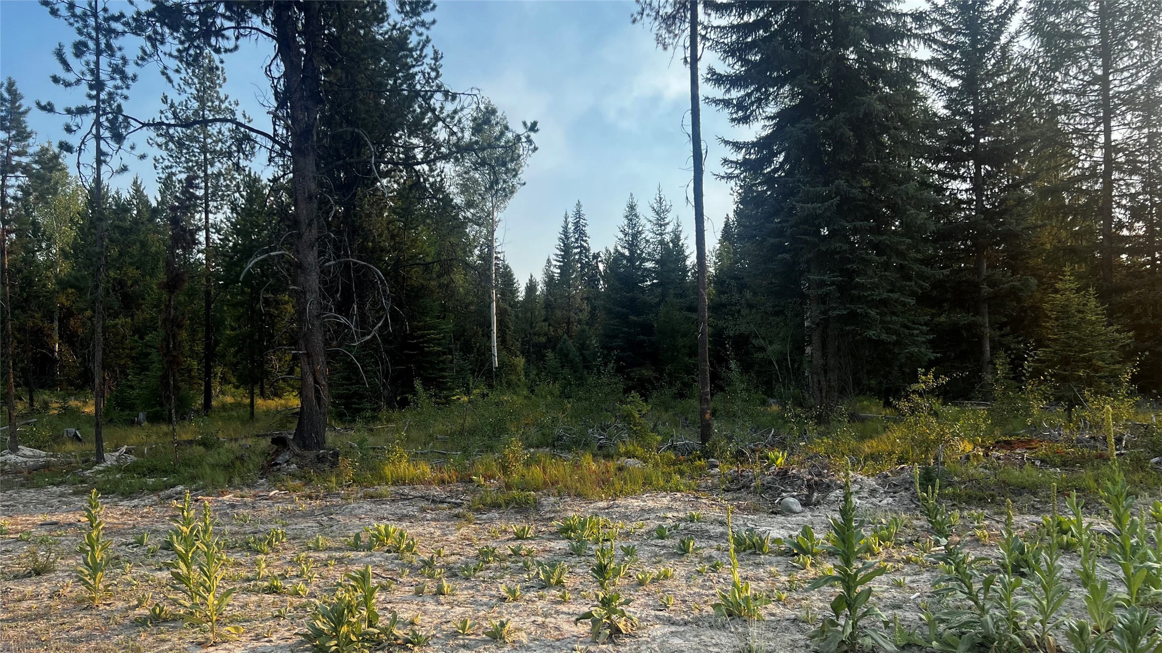 This 20.65 acre lot is located within close proximity to Happy's Inn and halfway between Libby and Kalispell MT. Whether your building your dream home or starting a small homestead this property will meet your needs and has endless potential. Within a short proximity are the Thompson Chain of lakes, lakes, streams and rivers. The year long recreational opportunities in the area are countless. Phone and power are installed. Take a drive and visit your future homesite. Call Roby Bowe at 406-293-1988 or your Real Estate Professional.