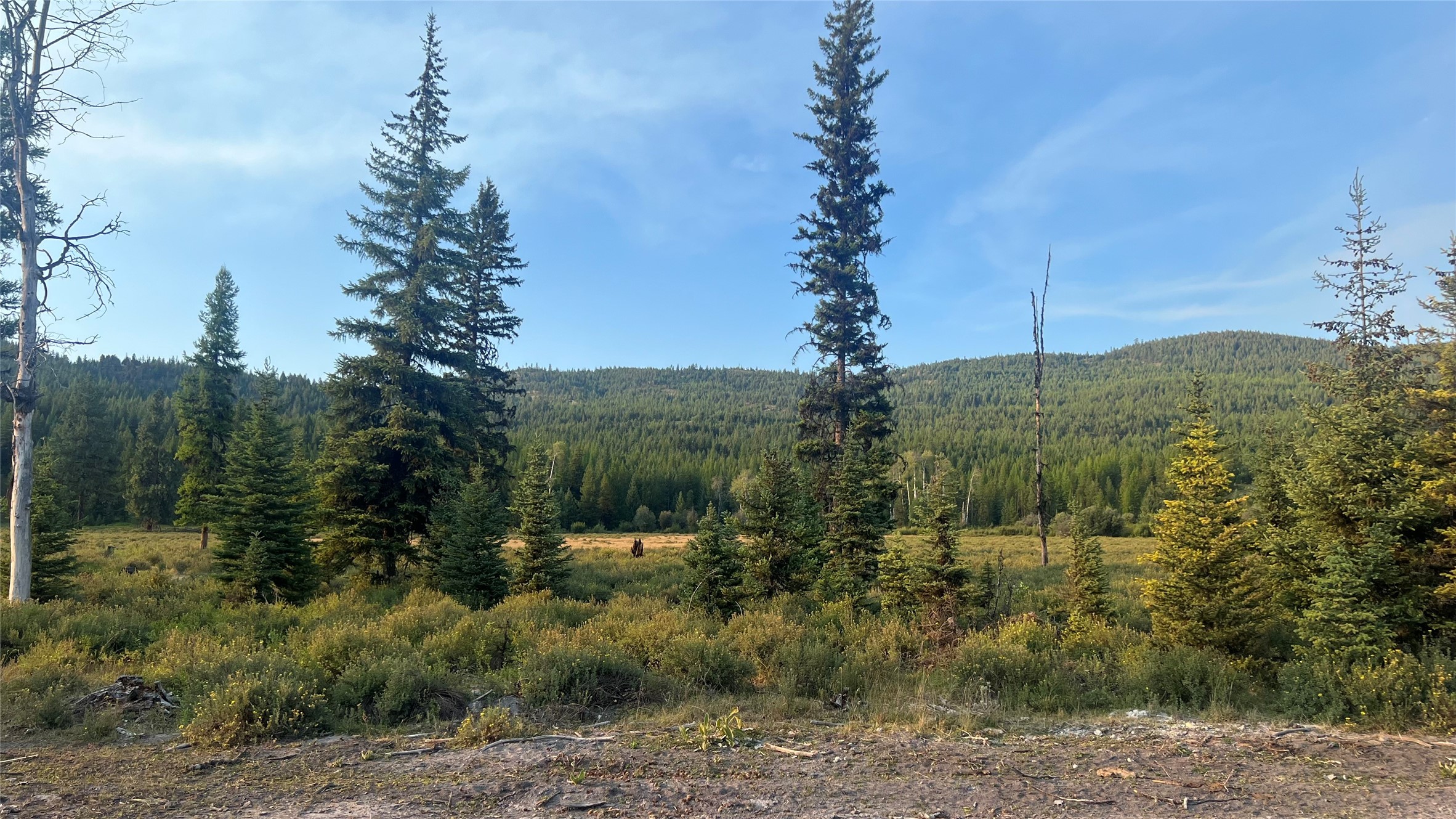 This 20.16 acre lot is located within close proximity to Happy's Inn and halfway between Libby and Kalispell MT. Whether your building your dream home or starting a small homestead this property will meet your needs and has endless potential. Within a short proximity are the Thompson Chain of lakes, lakes, streams and rivers. The year long recreational opportunities in the area are countless. Phone and power are installed. Take a drive and visit your future homesite. Call Roby Bowe at 406-293-1988 or your Real Estate Professional.
