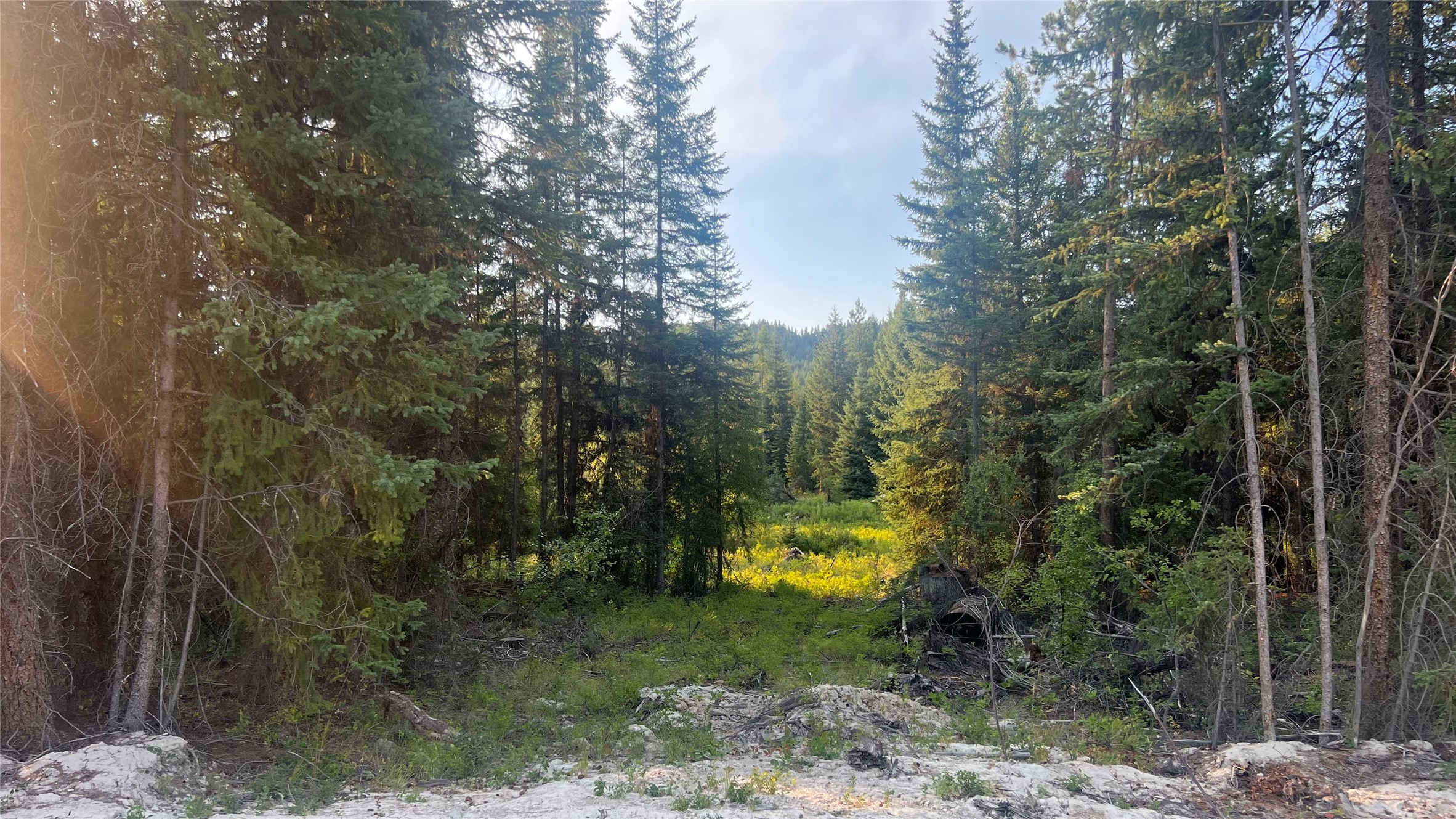 This 20.17 acre lot is located within close proximity to Happy's Inn and halfway between Libby and Kalispell MT. Whether your building your dream home or starting a small homestead this property will meet your needs and has endless potential. Within a short proximity are the Thompson Chain of lakes, lakes, streams and rivers. The year long recreational opportunities in the area are countless. Phone and power are installed. Take a drive and visit your future homesite. Call Roby Bowe at 406-293-1988 or your Real Estate Professional.