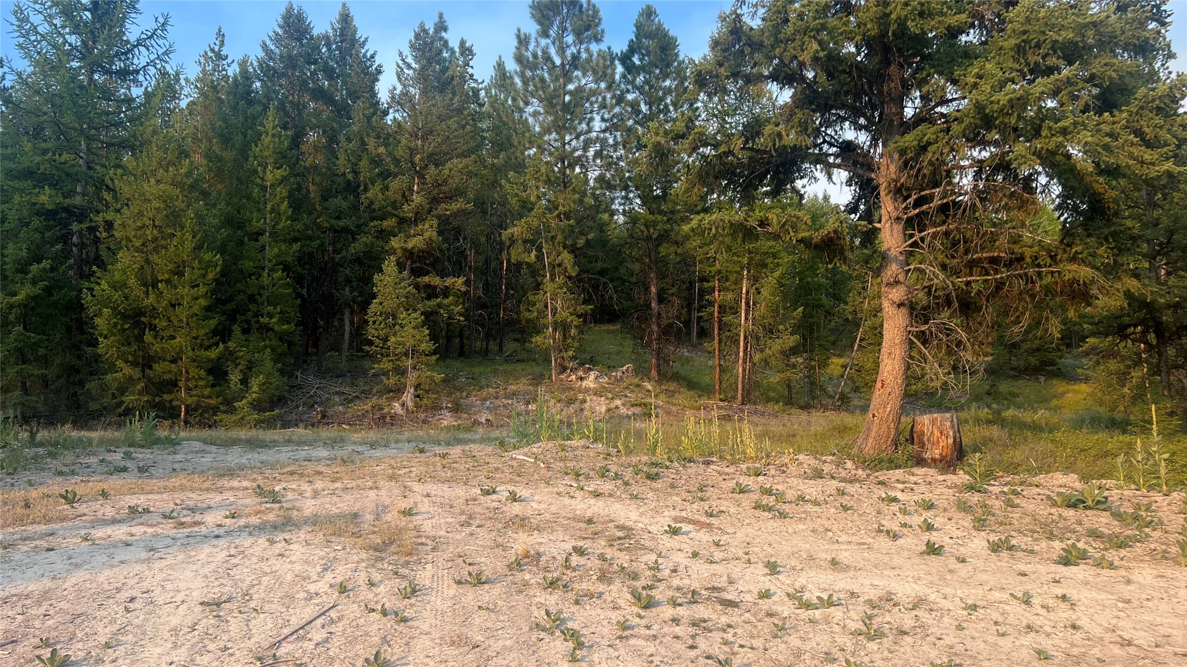 This 20.93 acre lot is located within close proximity to Happy's Inn and halfway between Libby and Kalispell MT. Whether your building your dream home or starting a small homestead this property will meet your needs and has endless potential. Within a short proximity are the Thompson Chain of lakes, lakes, streams and rivers. The year long recreational opportunities in the area are countless. Phone and power are installed. Take a drive and visit your future homesite. Call Roby Bowe at 406-293-1988 or your Real Estate Professional.